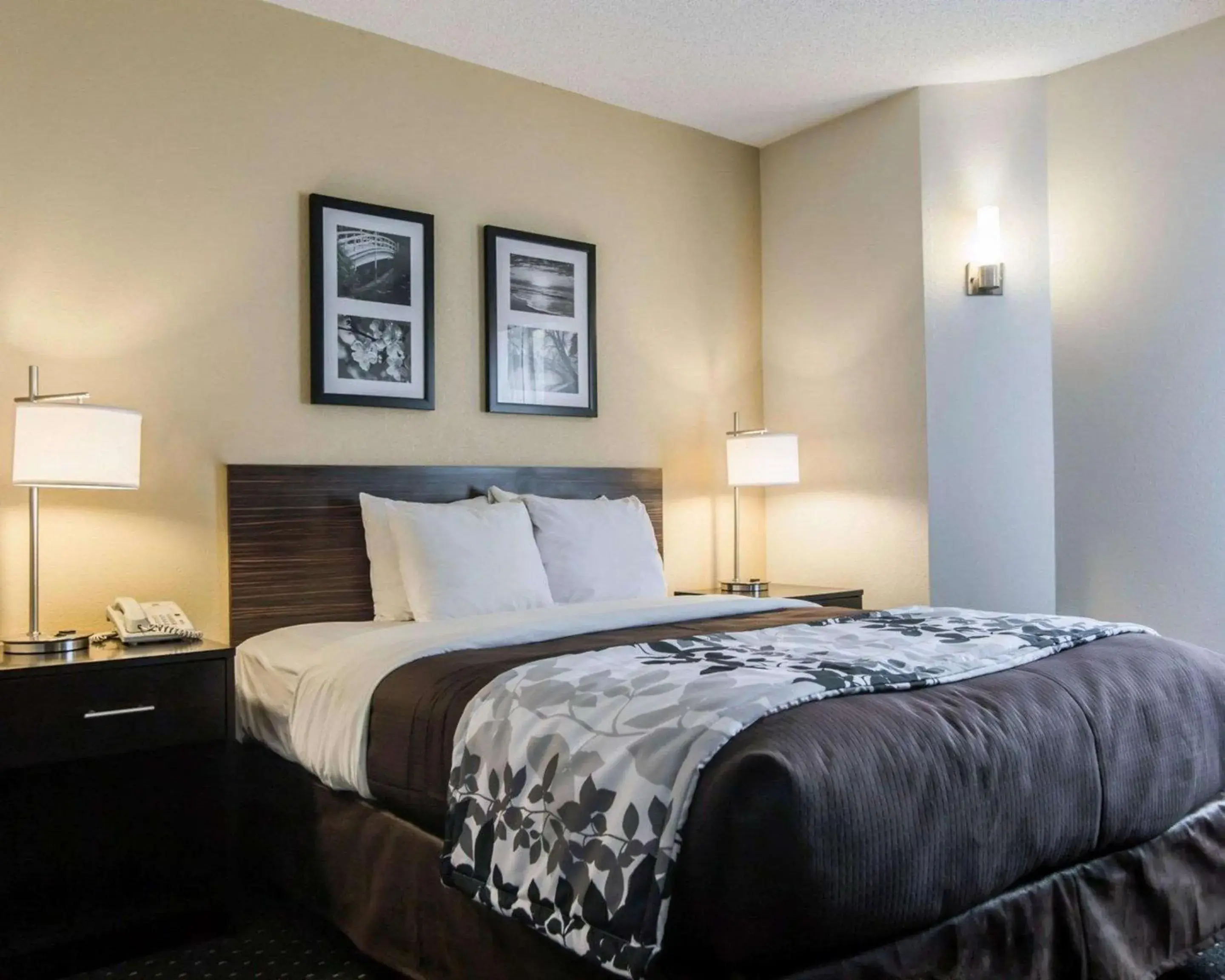 Queen Room - Disability Access/Non-Smoking in Sleep Inn Florence North Queen Room - Disability Access/Non-Smoking in Sleep Inn Florence North