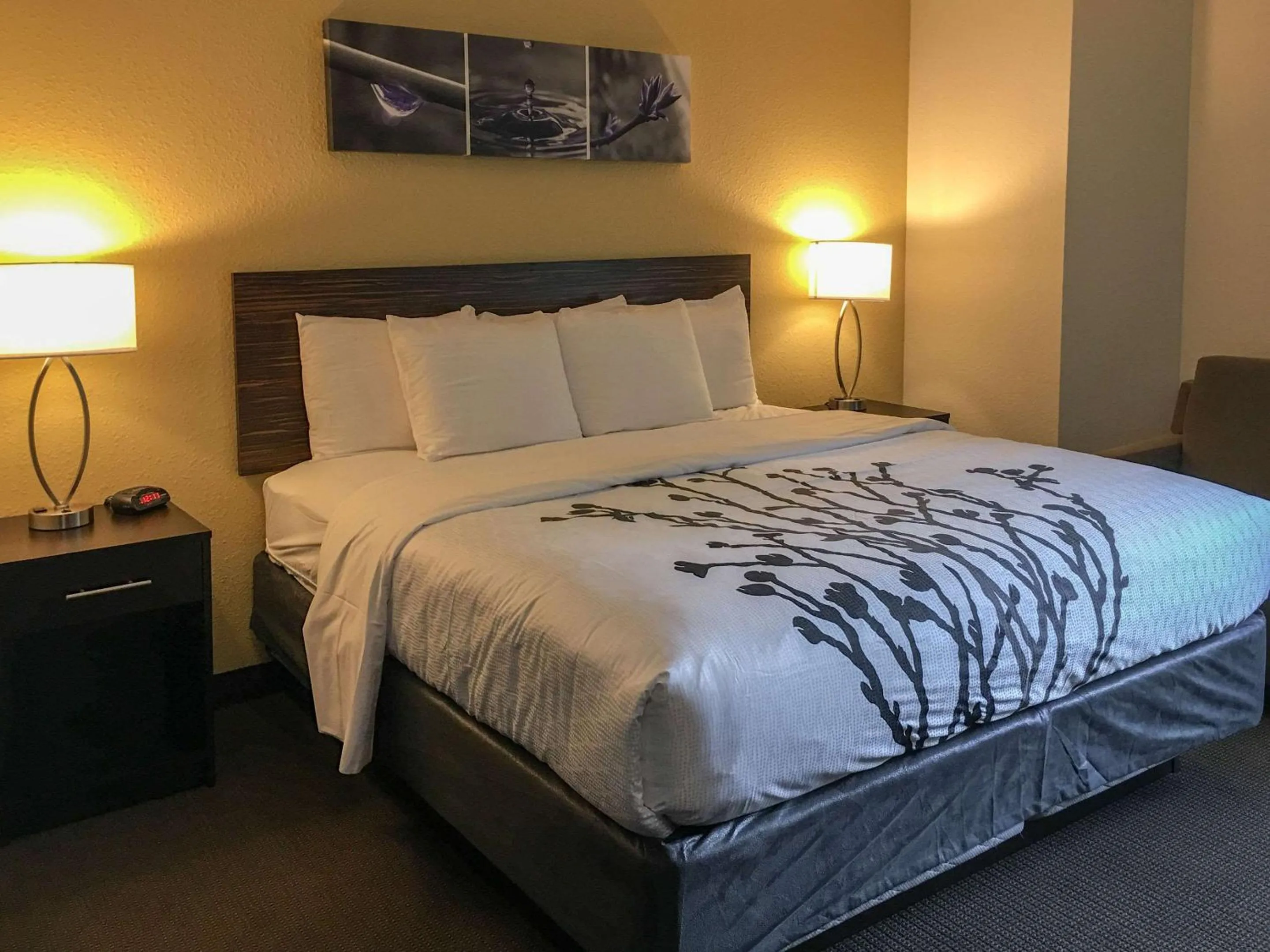 Bedroom, Bed in Sleep Inn Florence North