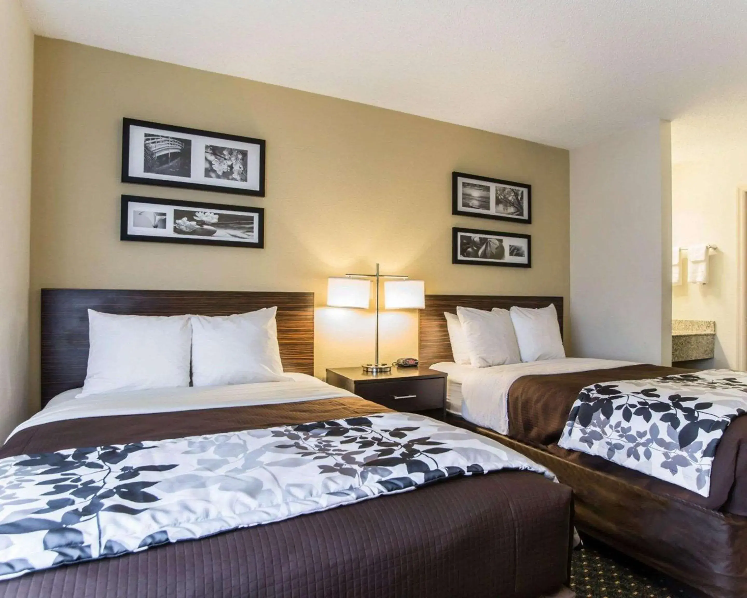 Double Room with Two Double Beds - Non-Smoking in Sleep Inn Florence North Double Room with Two Double Beds - Non-Smoking in Sleep Inn Florence North