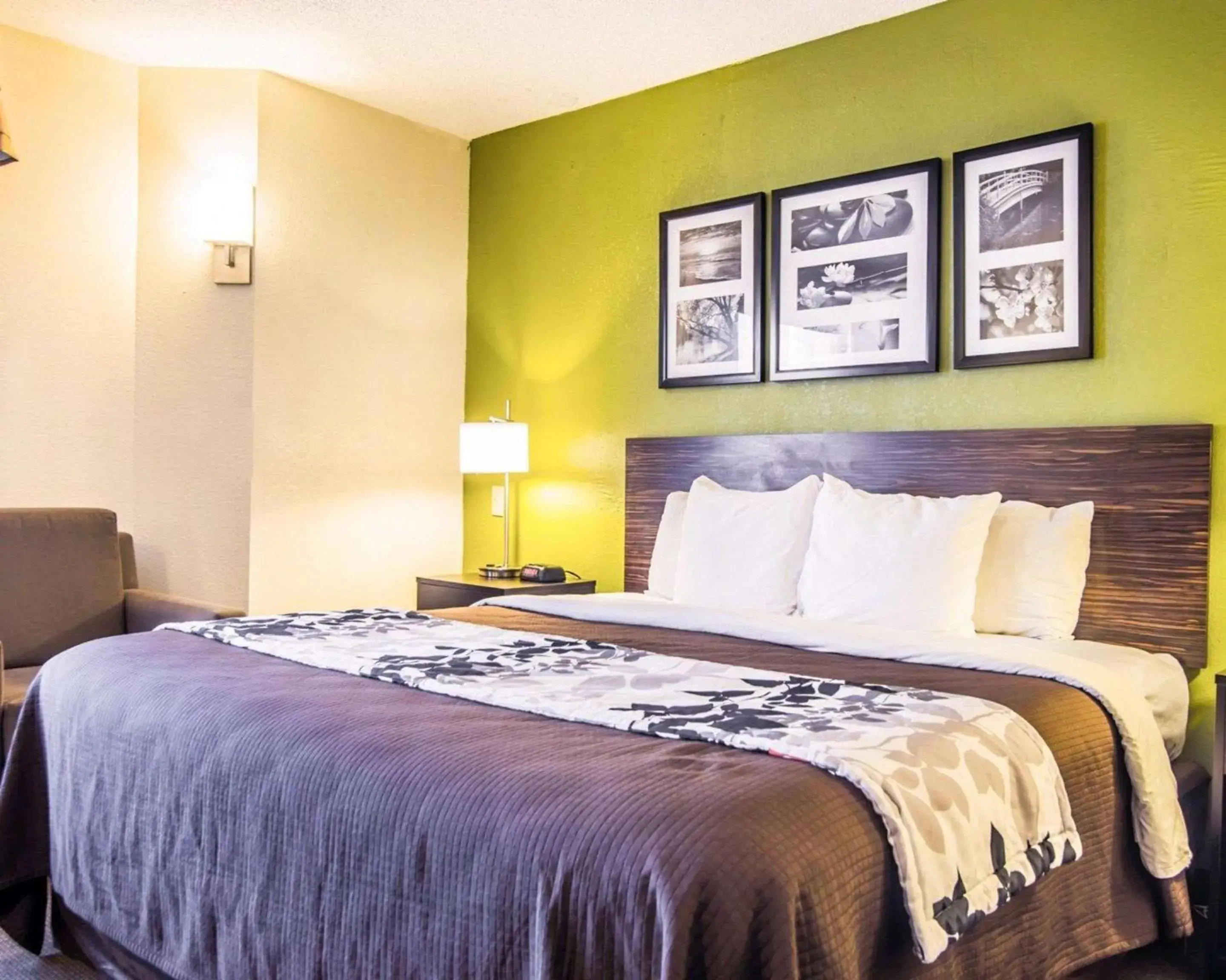 Queen Room - Non Smoking in Sleep Inn Walterboro I-95 Queen Room - Non Smoking in Sleep Inn Walterboro I-95