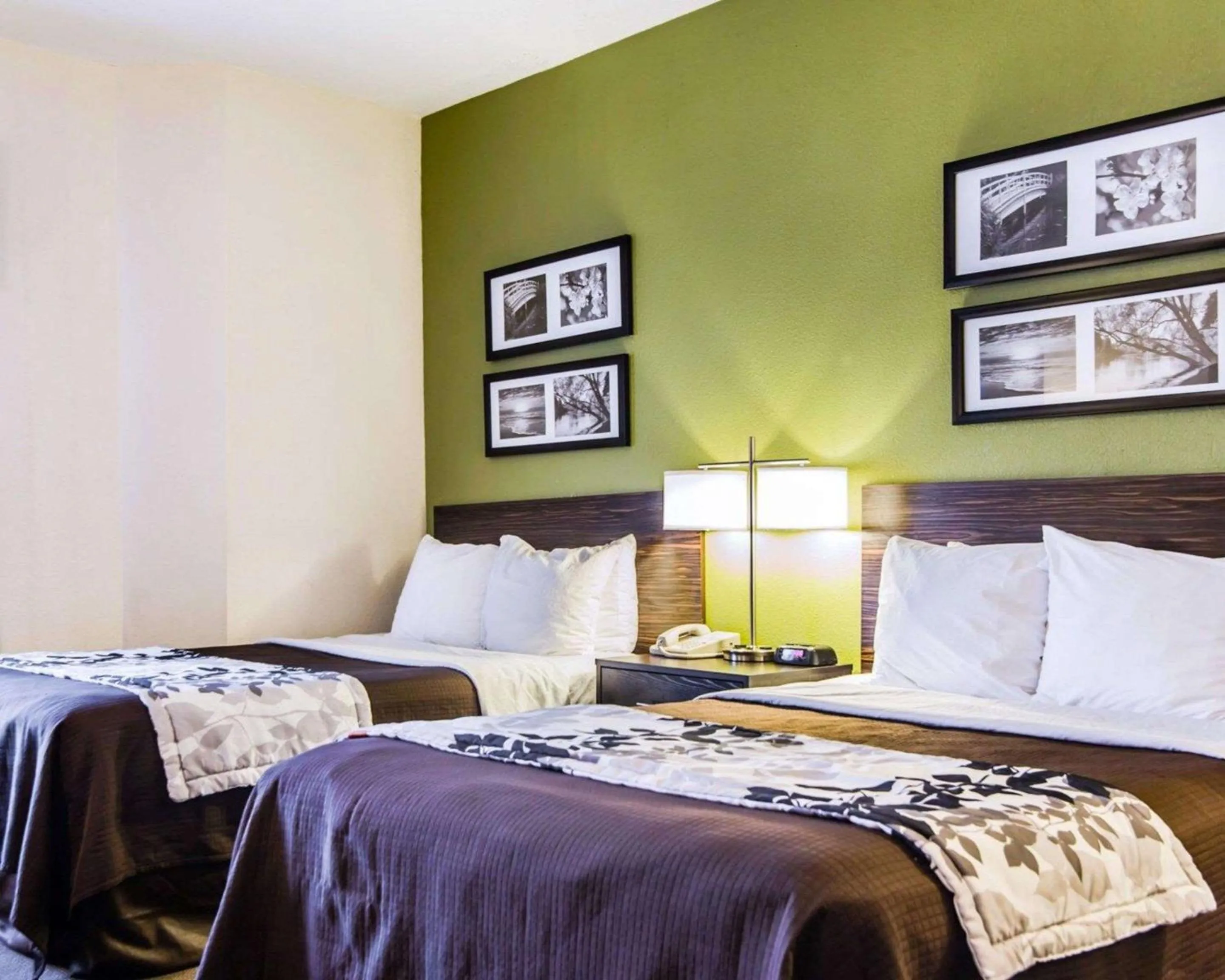 Bed in Sleep Inn Walterboro I-95