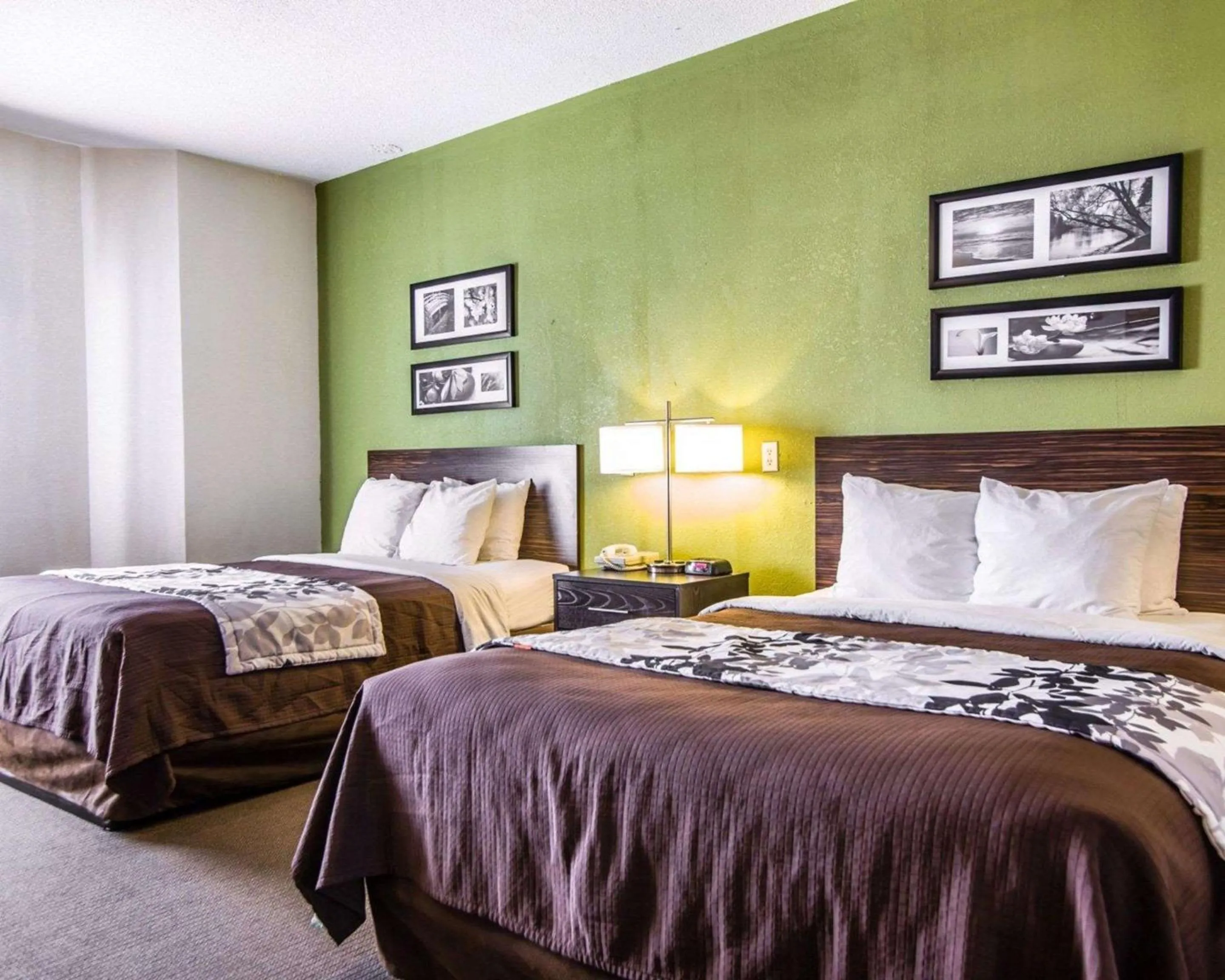 Photo of the whole room, Bed in Sleep Inn Walterboro I-95