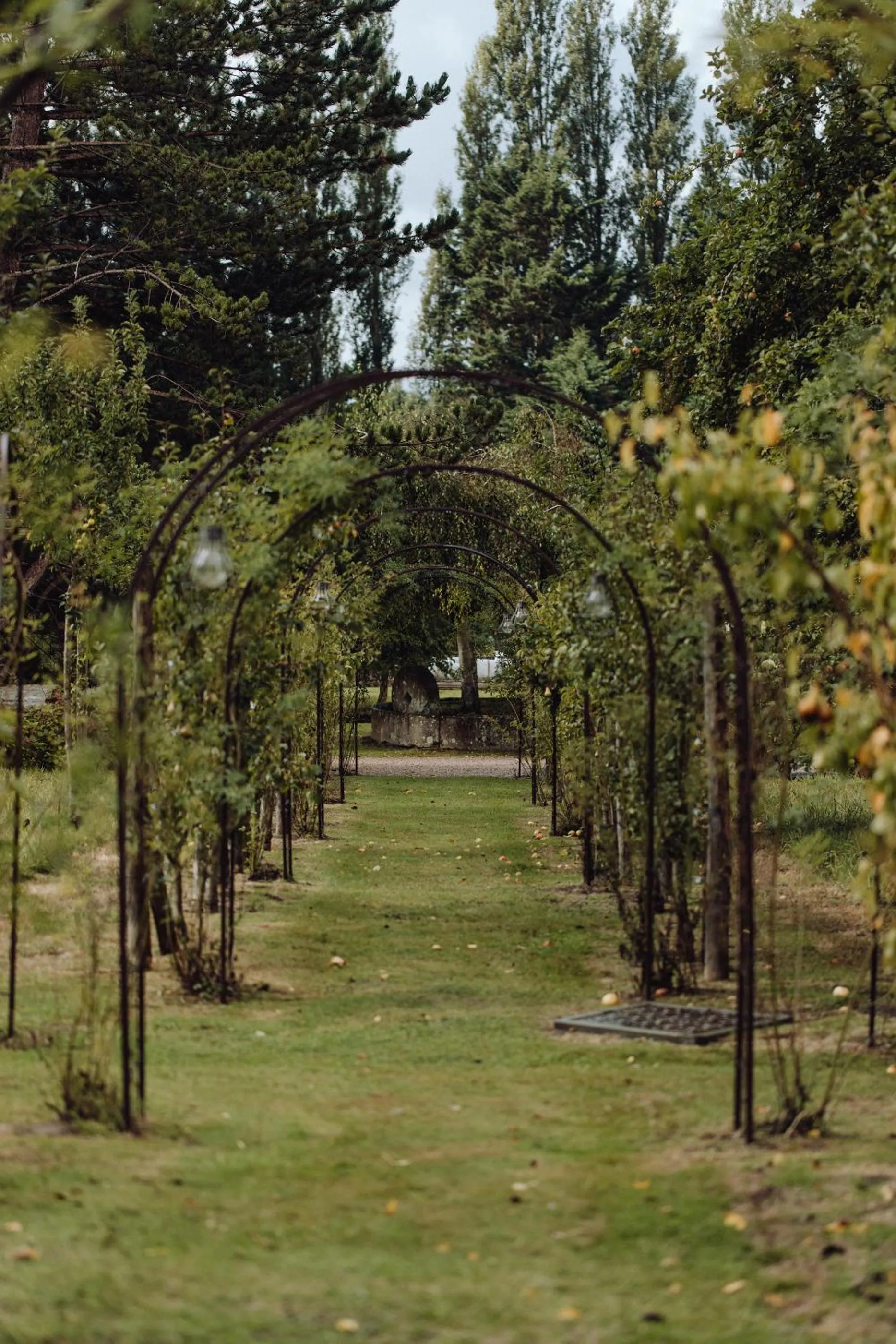 Garden in Les Manoirs des Portes de Deauville - Small Luxury Hotel Of The World