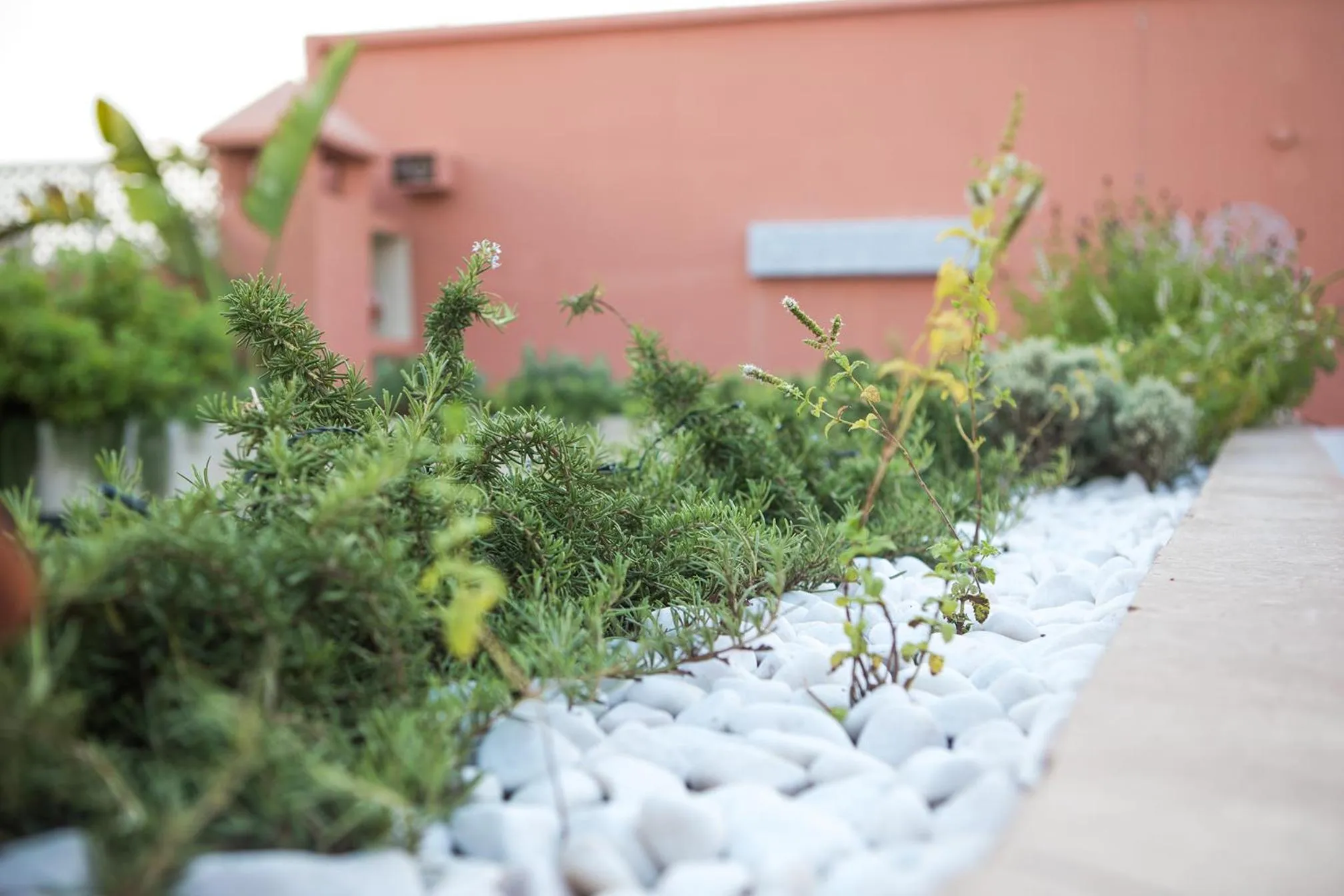 Balcony/Terrace in Riad Villa Harmonie
