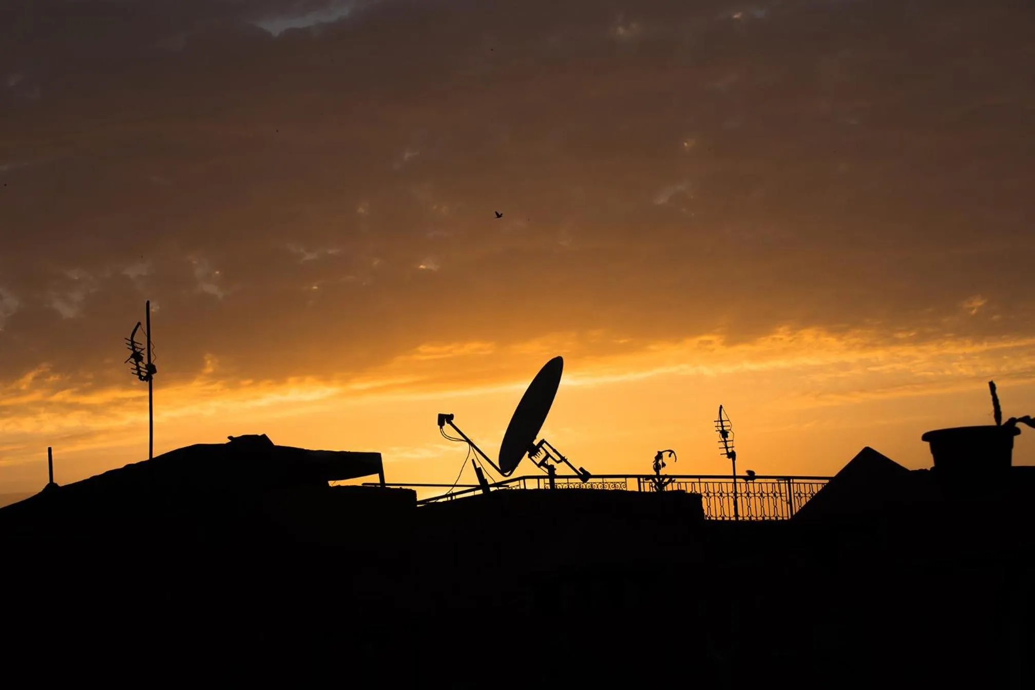 View (from property/room) in Riad Villa Harmonie