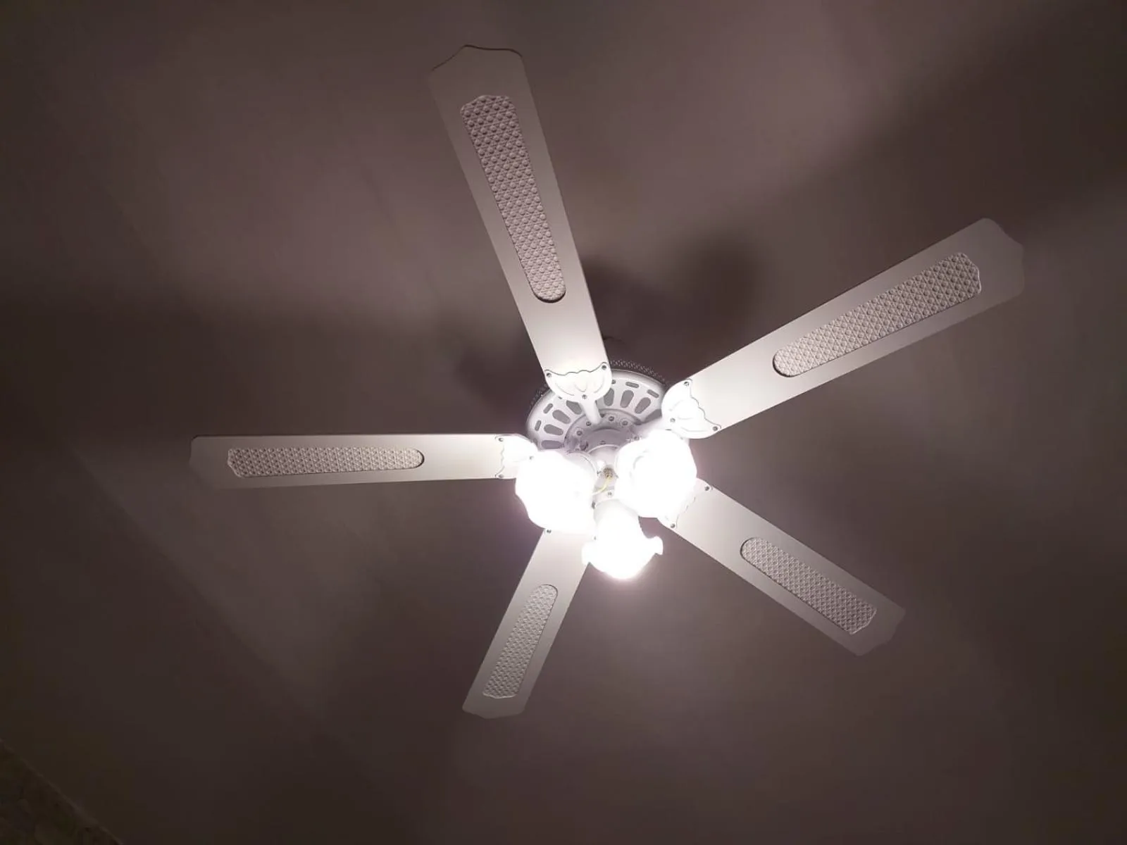 I Marchesi del Grillo - Vicinanze Stazione, Campus, Policlinico