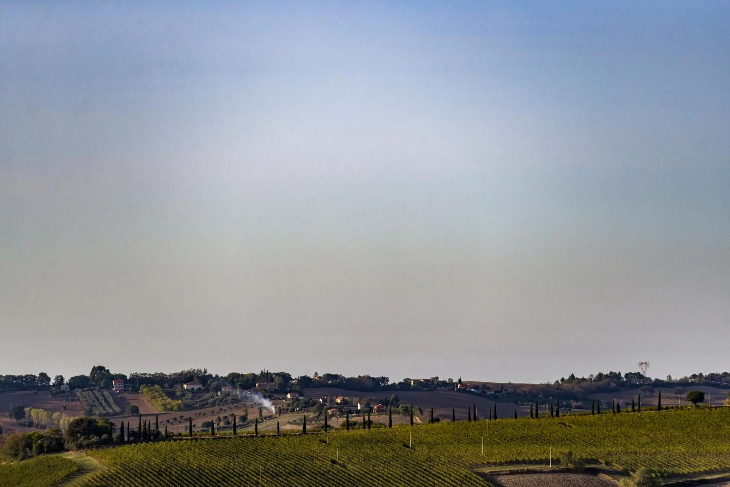 View (from property/room) in B&B Al Chicco d'Uva