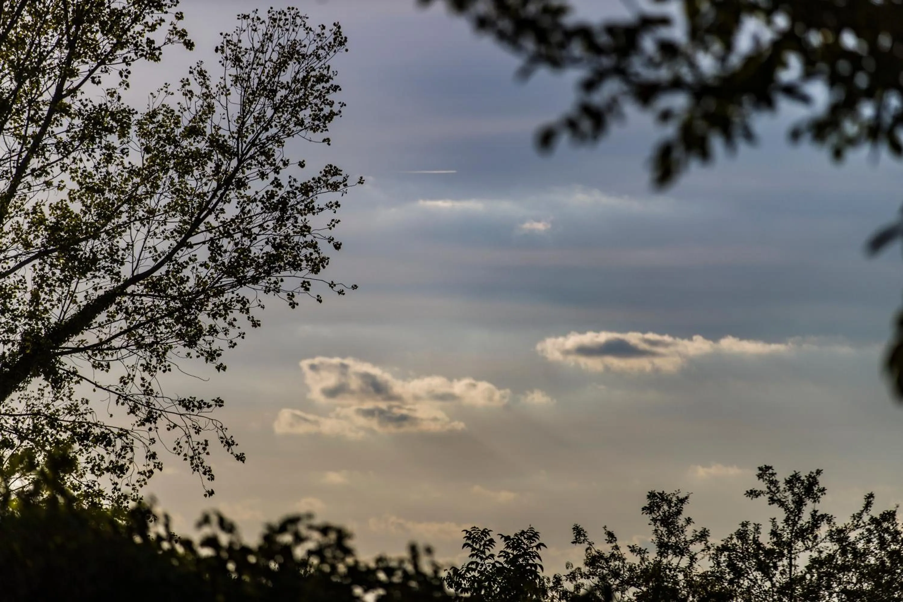 View (from property/room) in B&B Al Chicco d'Uva