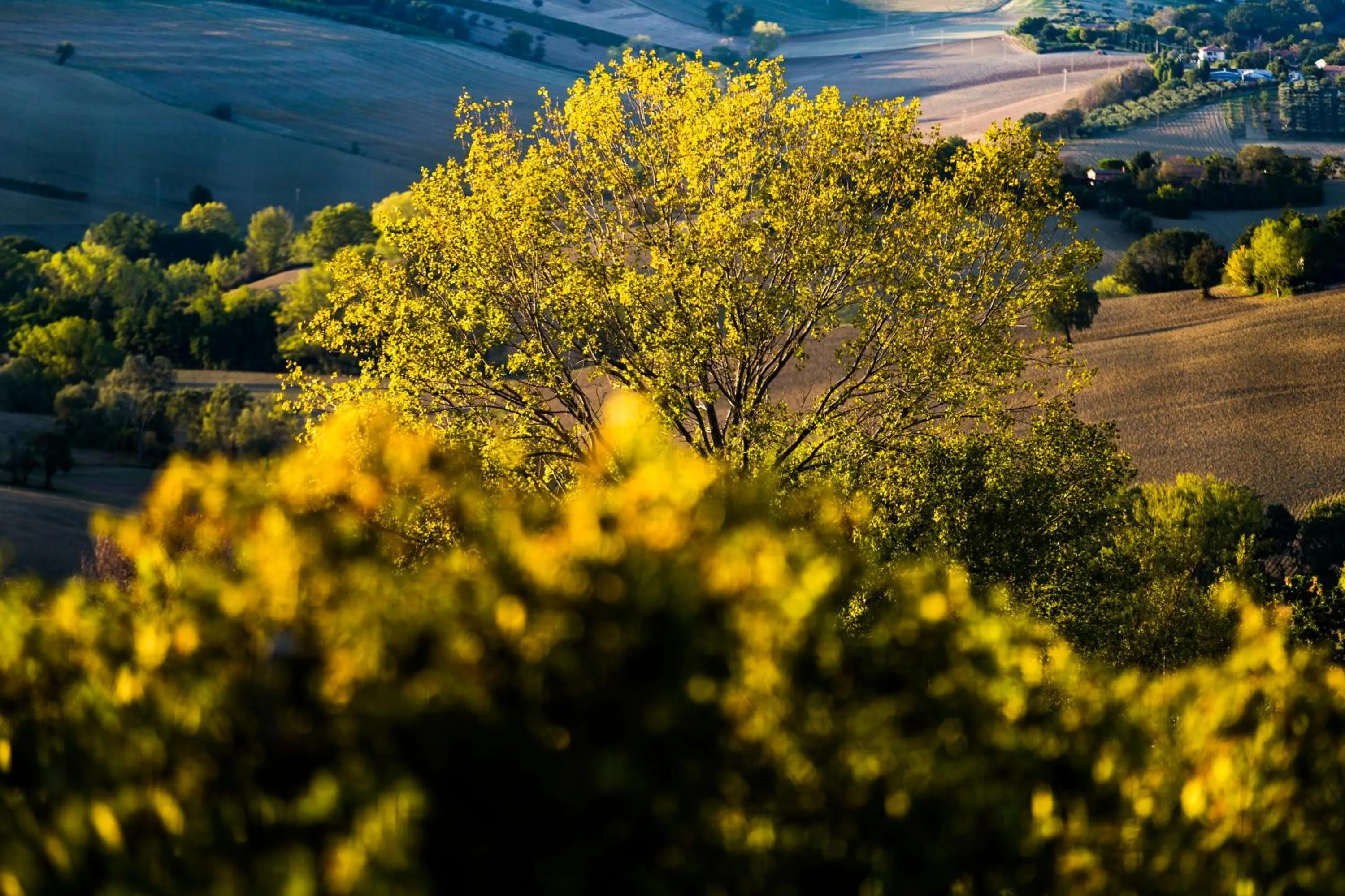 View (from property/room) in B&B Al Chicco d'Uva