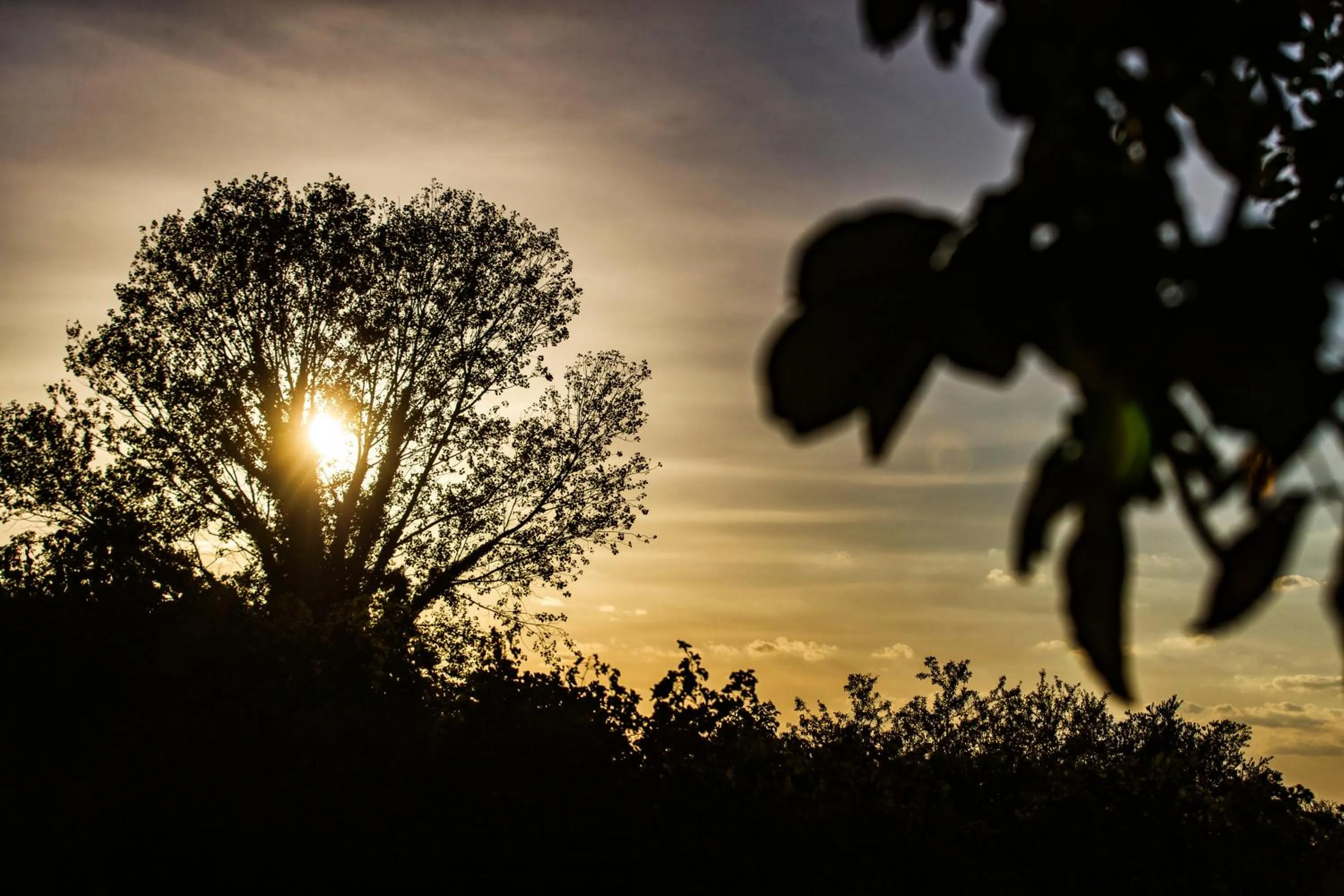 Garden in B&B Al Chicco d'Uva