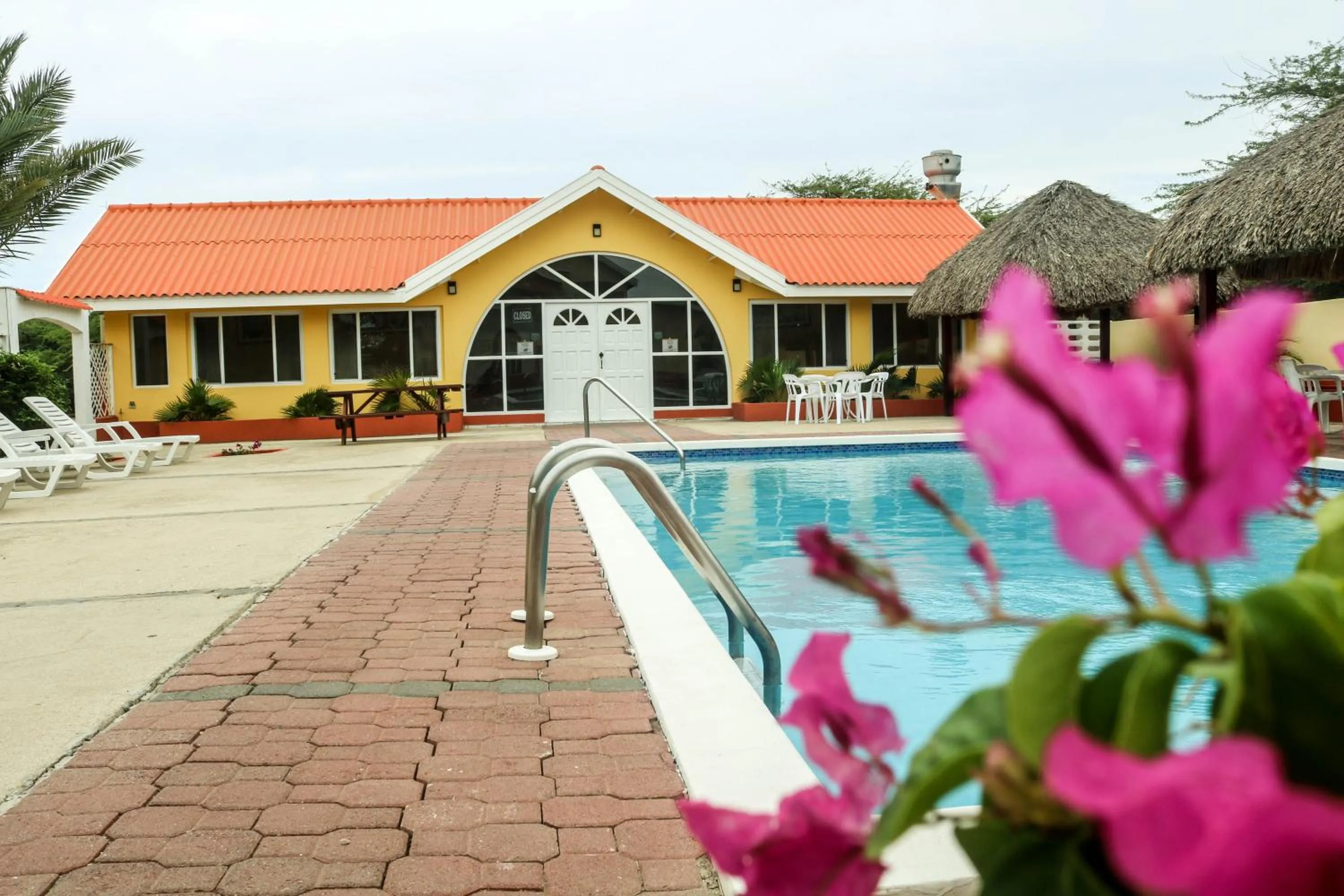 Swimming pool in Coconut Inn