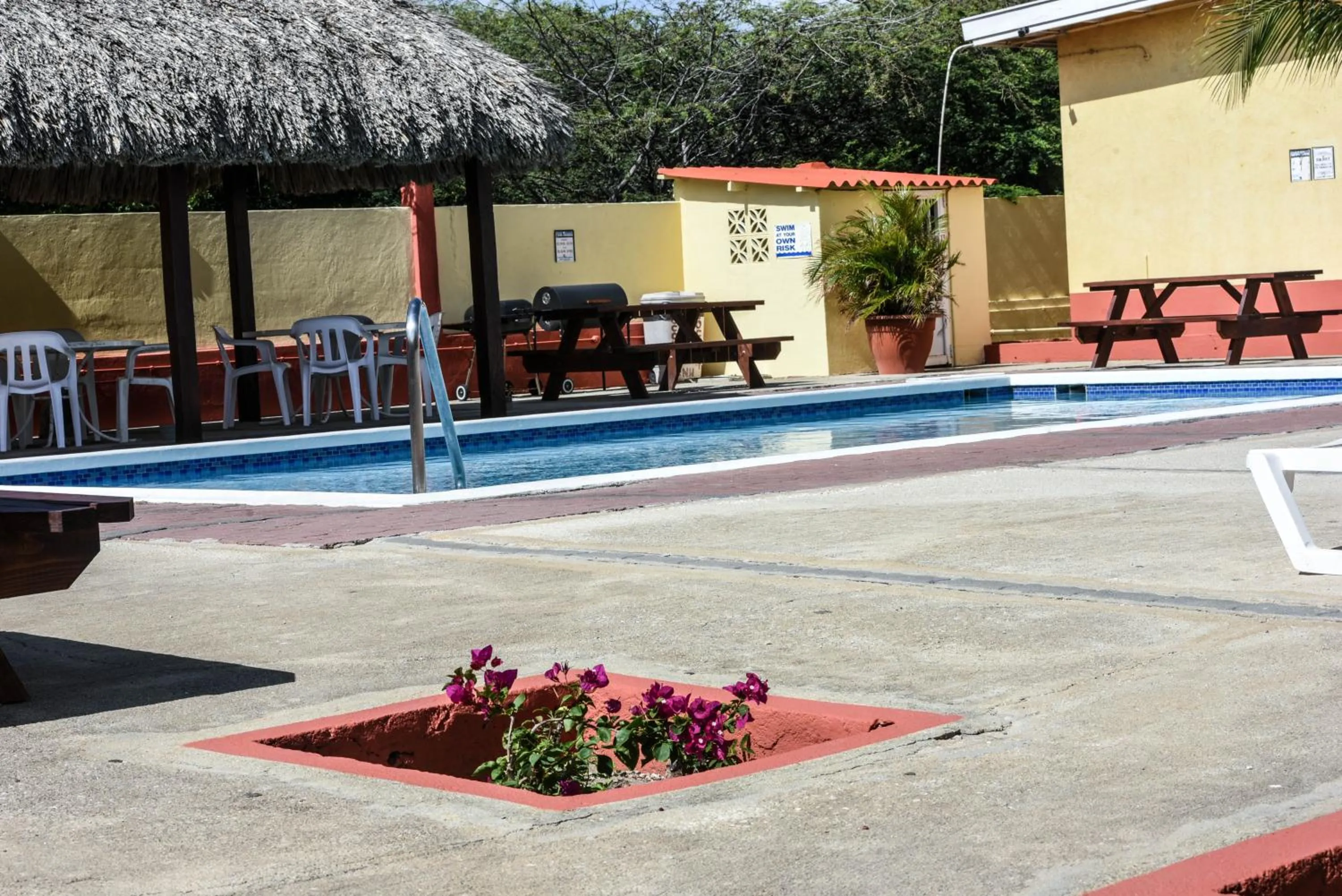 Swimming pool in Coconut Inn