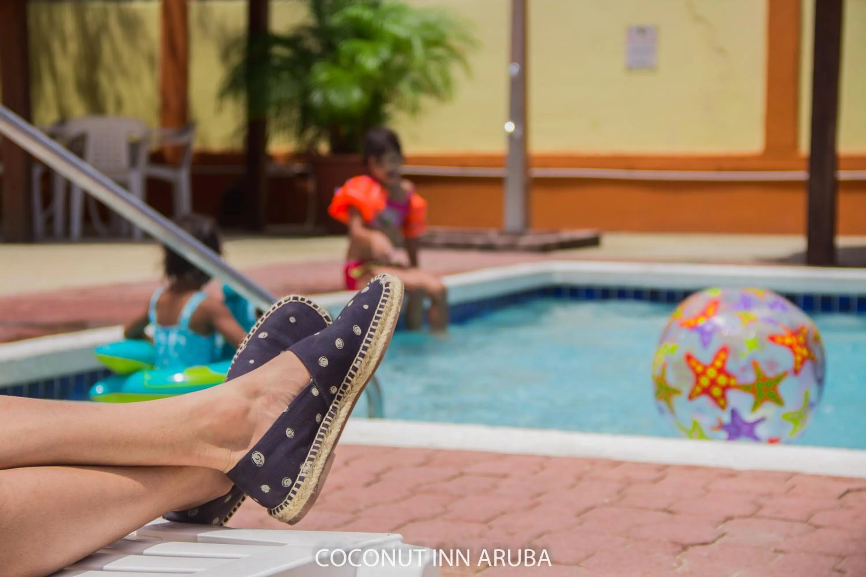 Swimming pool in Coconut Inn