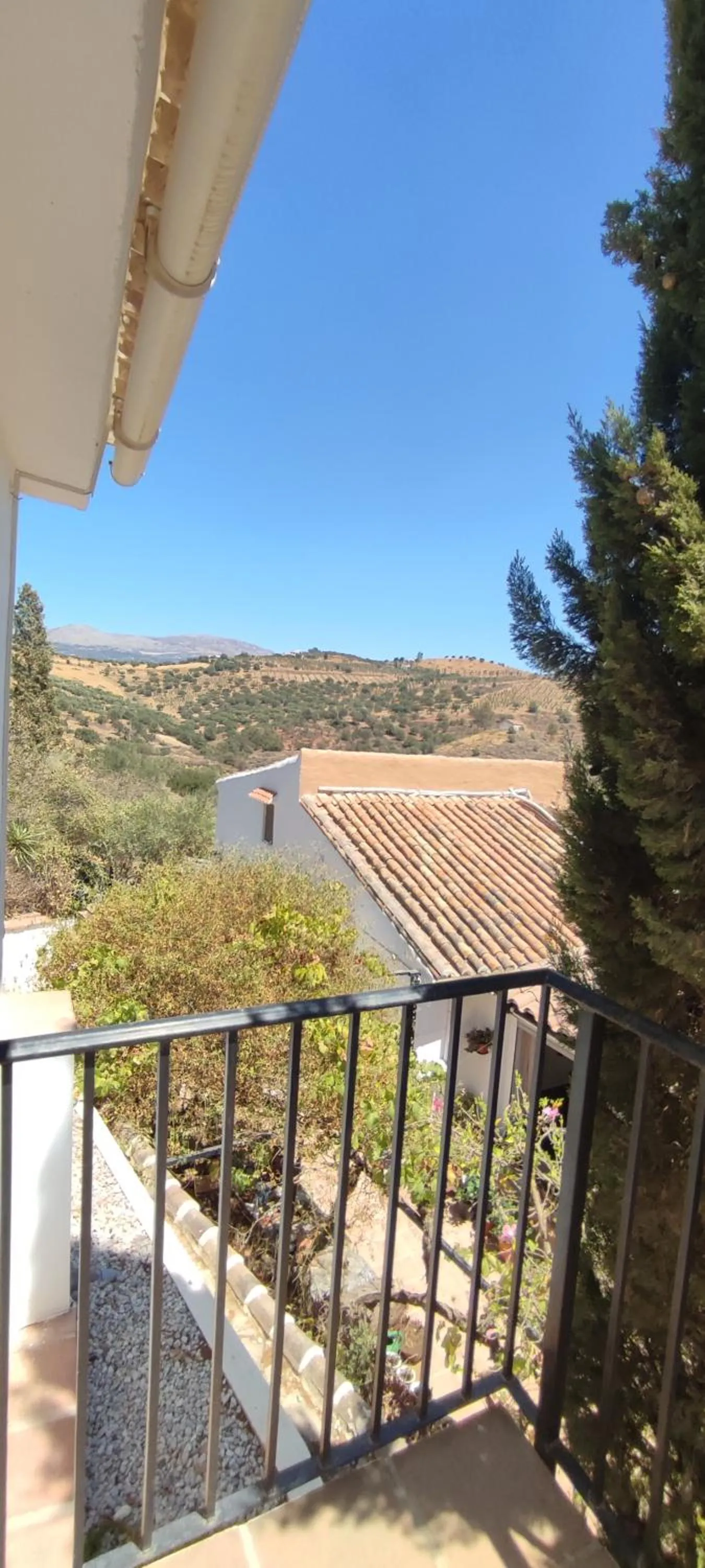 B&B Cortijo Loma León