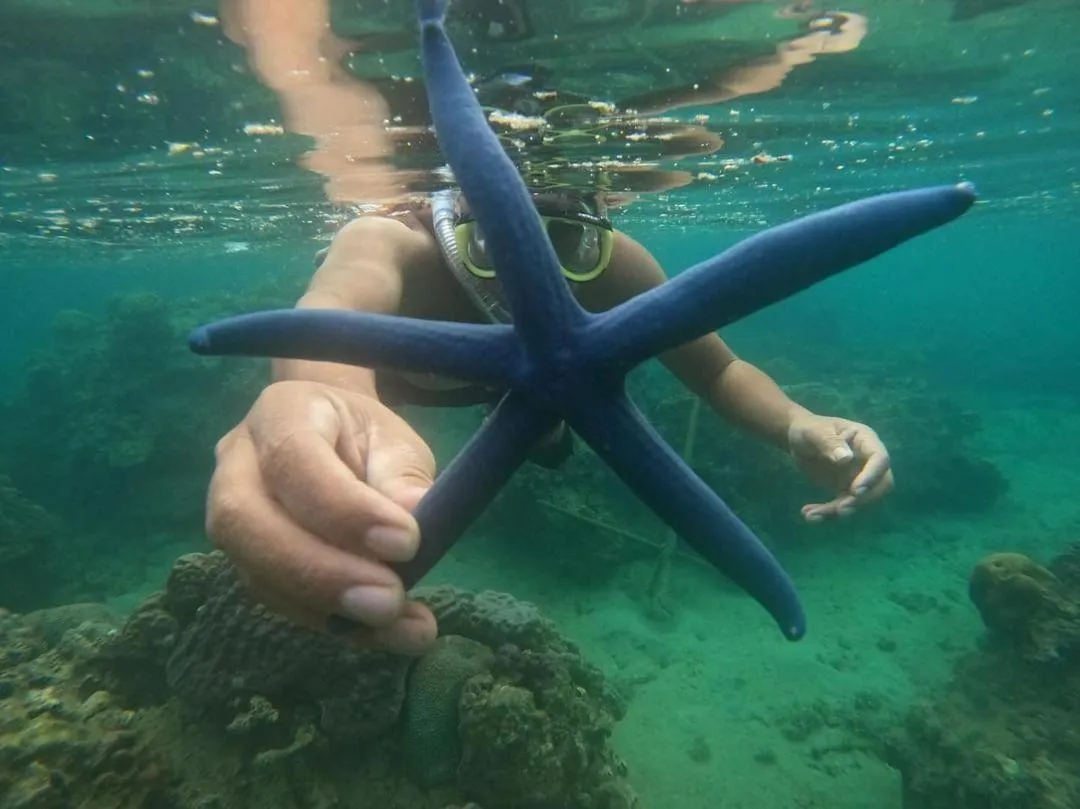 Snorkeling in Sông Suối Homestay