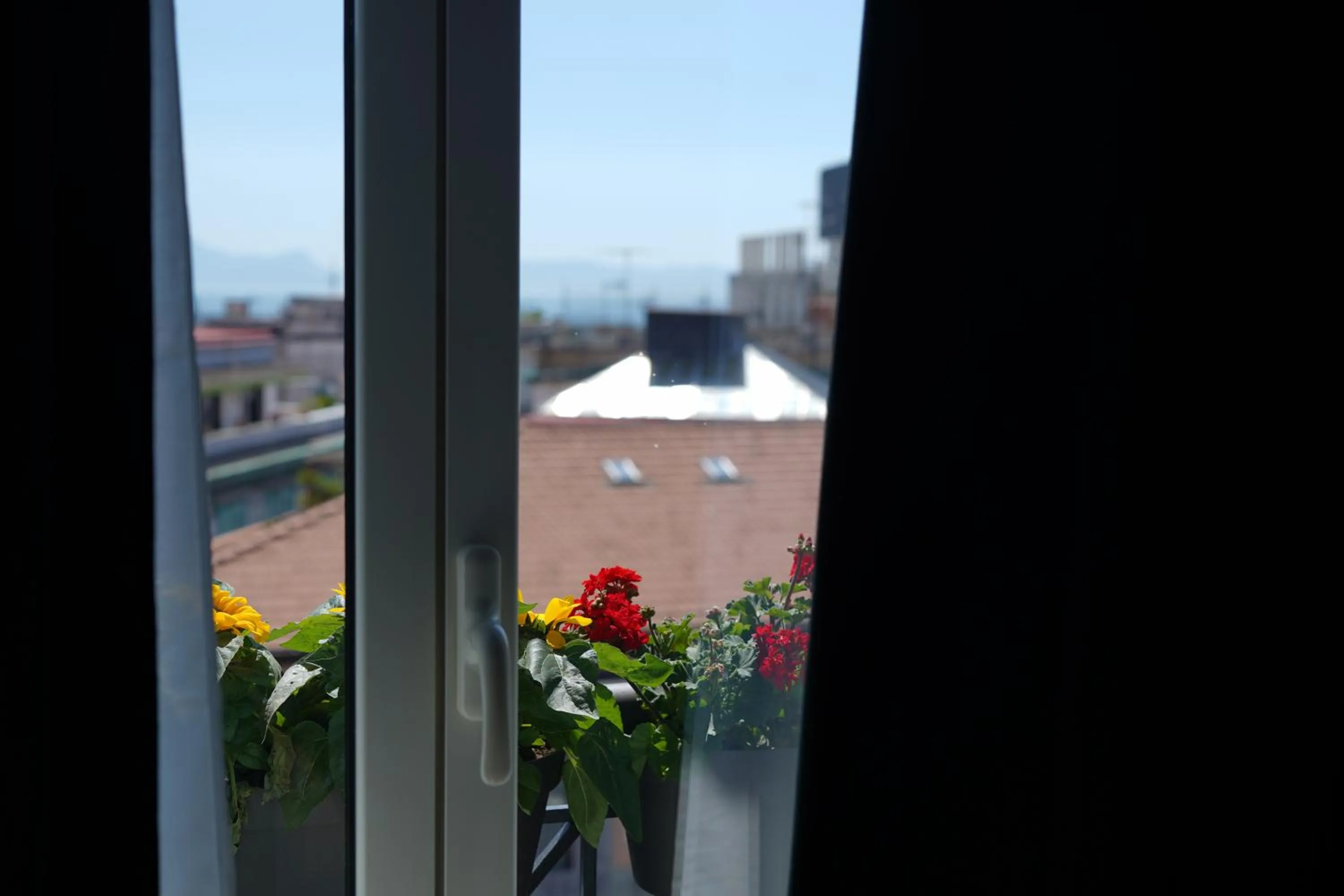 Balcony/Terrace in Nacu 90