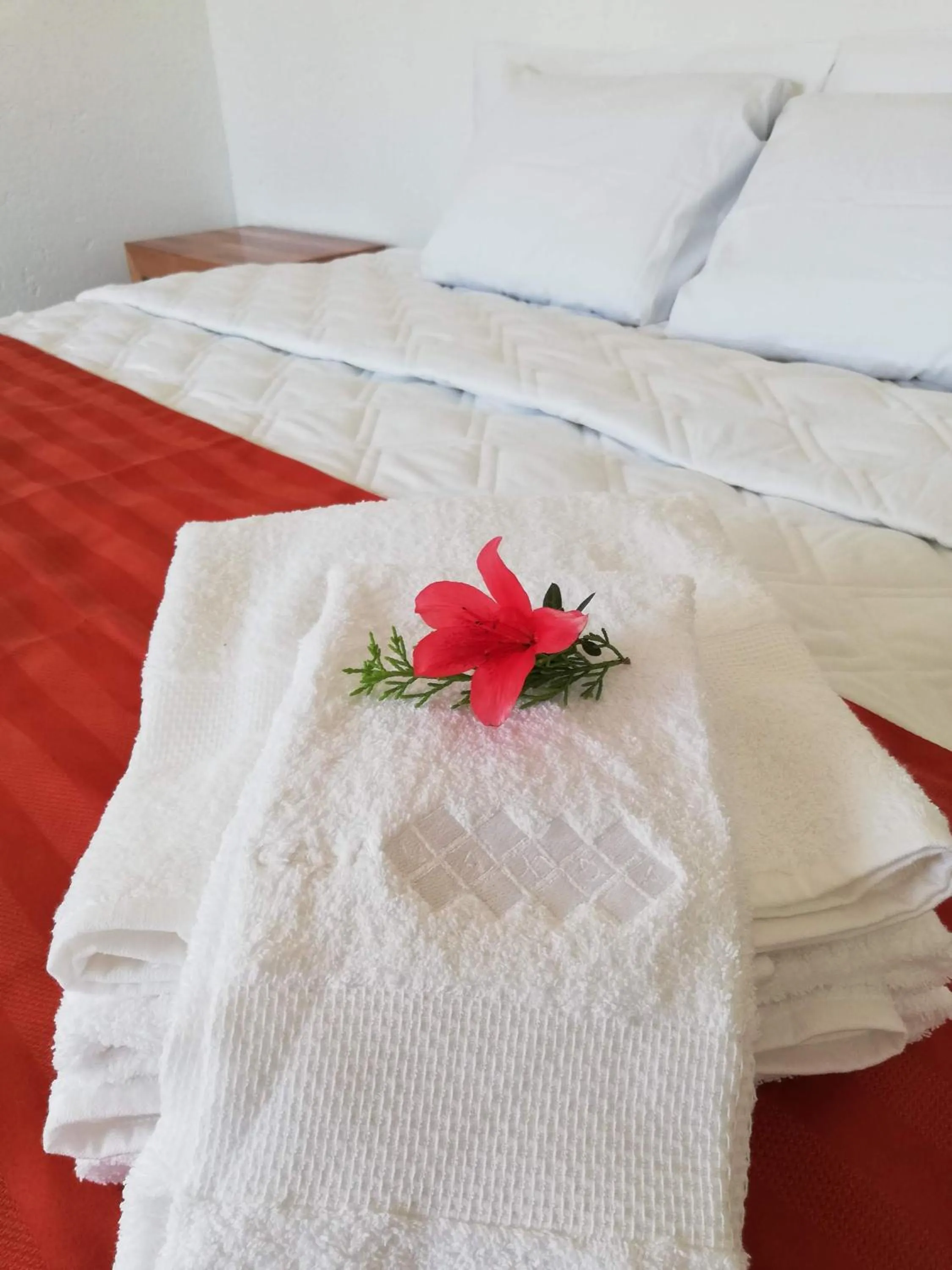 Bed in Hacienda Maxdá