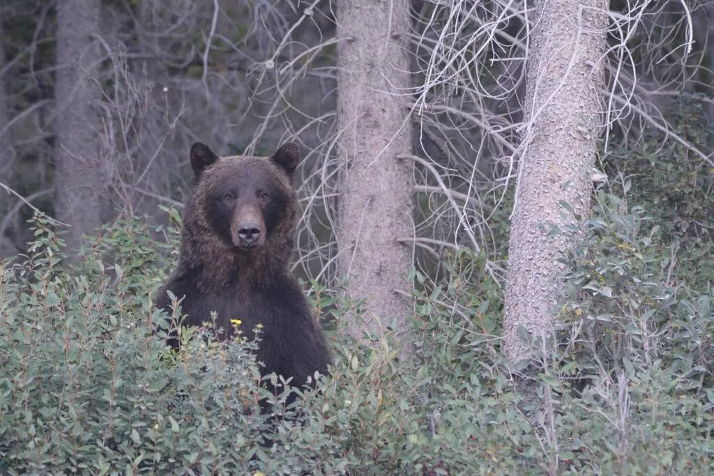 Sundance Suite - Beautiful Condo With Open Pool And Hot Tub