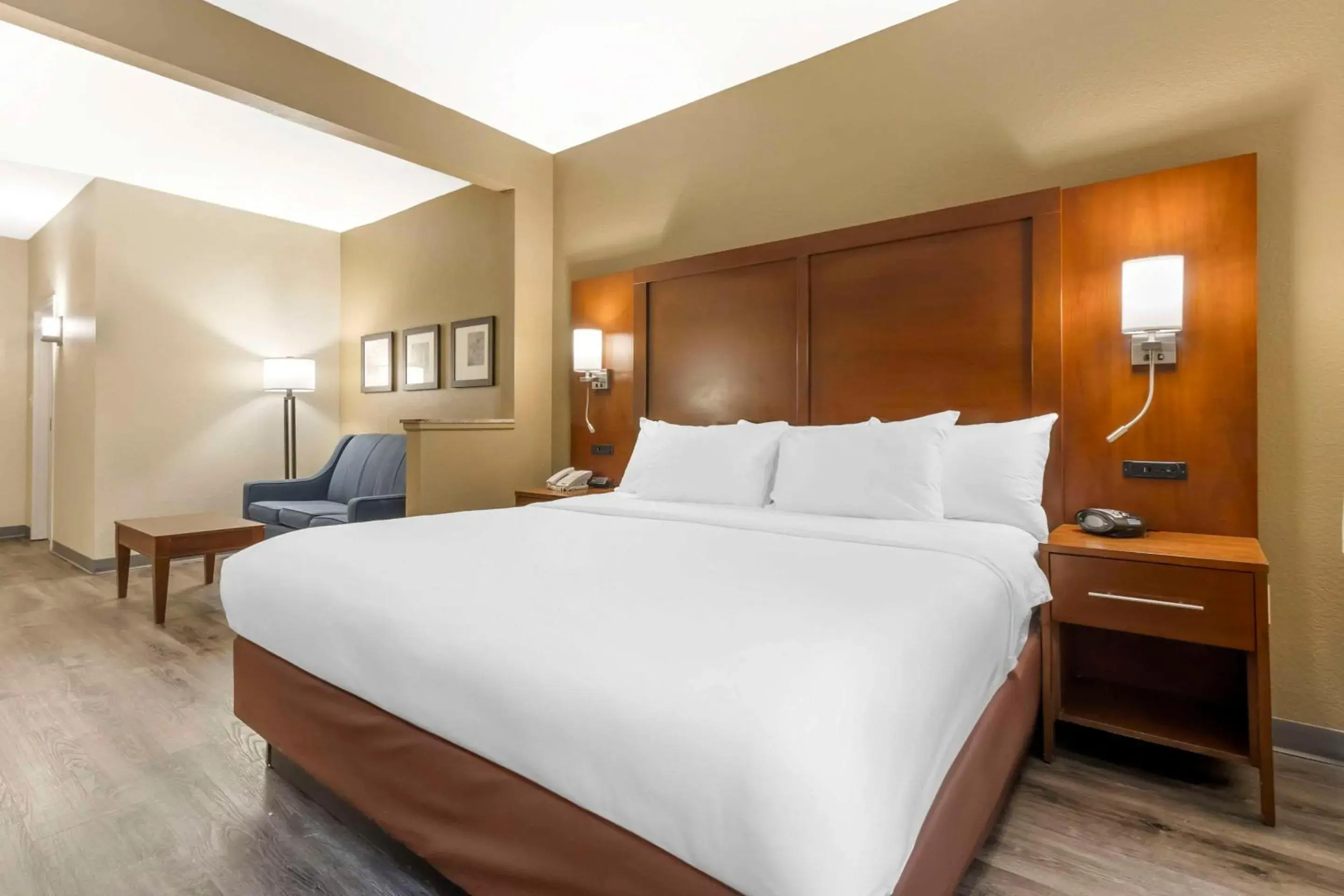 King Room - Disability Access/Non-Smoking in Comfort Suites At the University King Room - Disability Access/Non-Smoking in Comfort Suites At the University