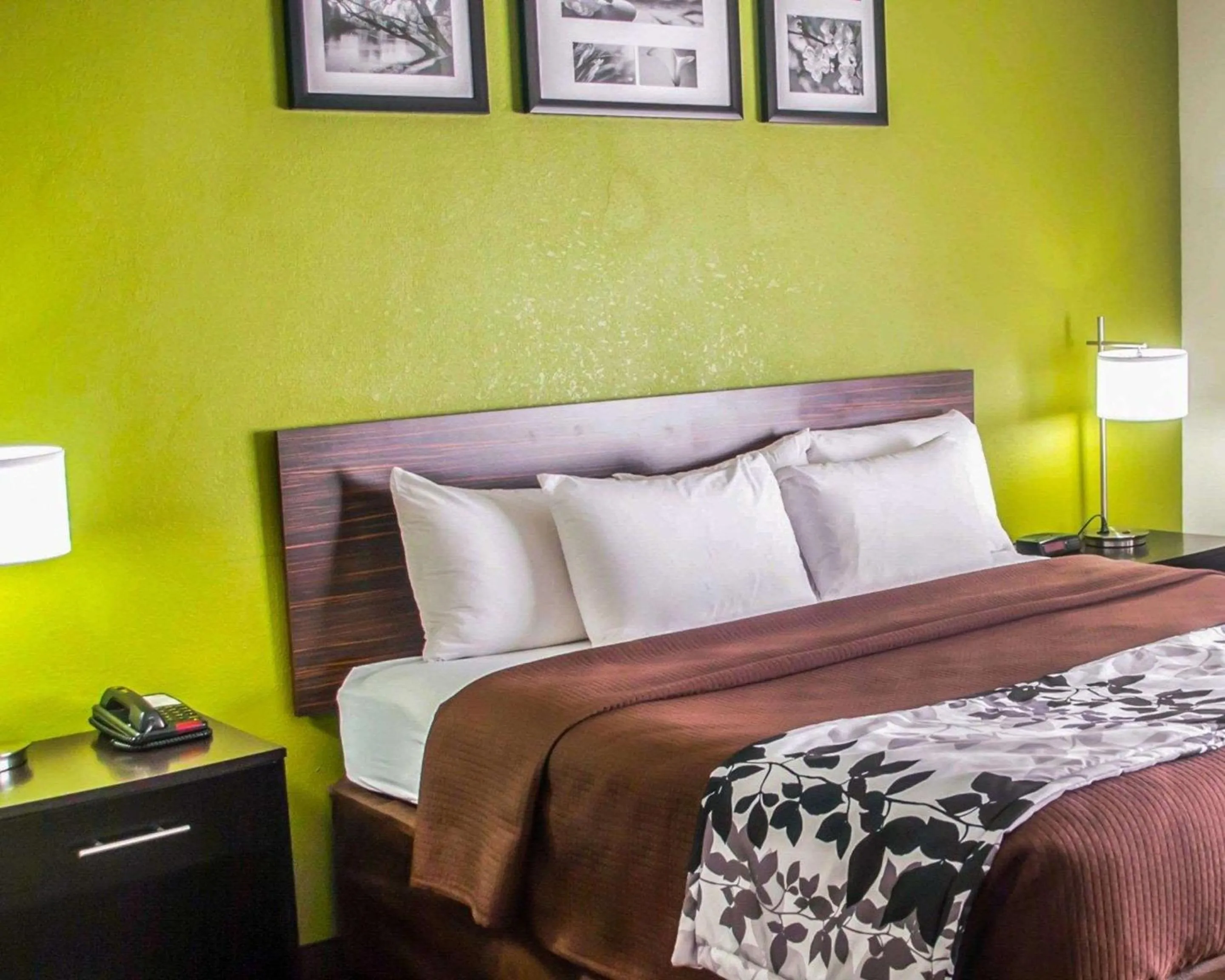 Photo of the whole room, Bed in Quality Inn Conway Northwest