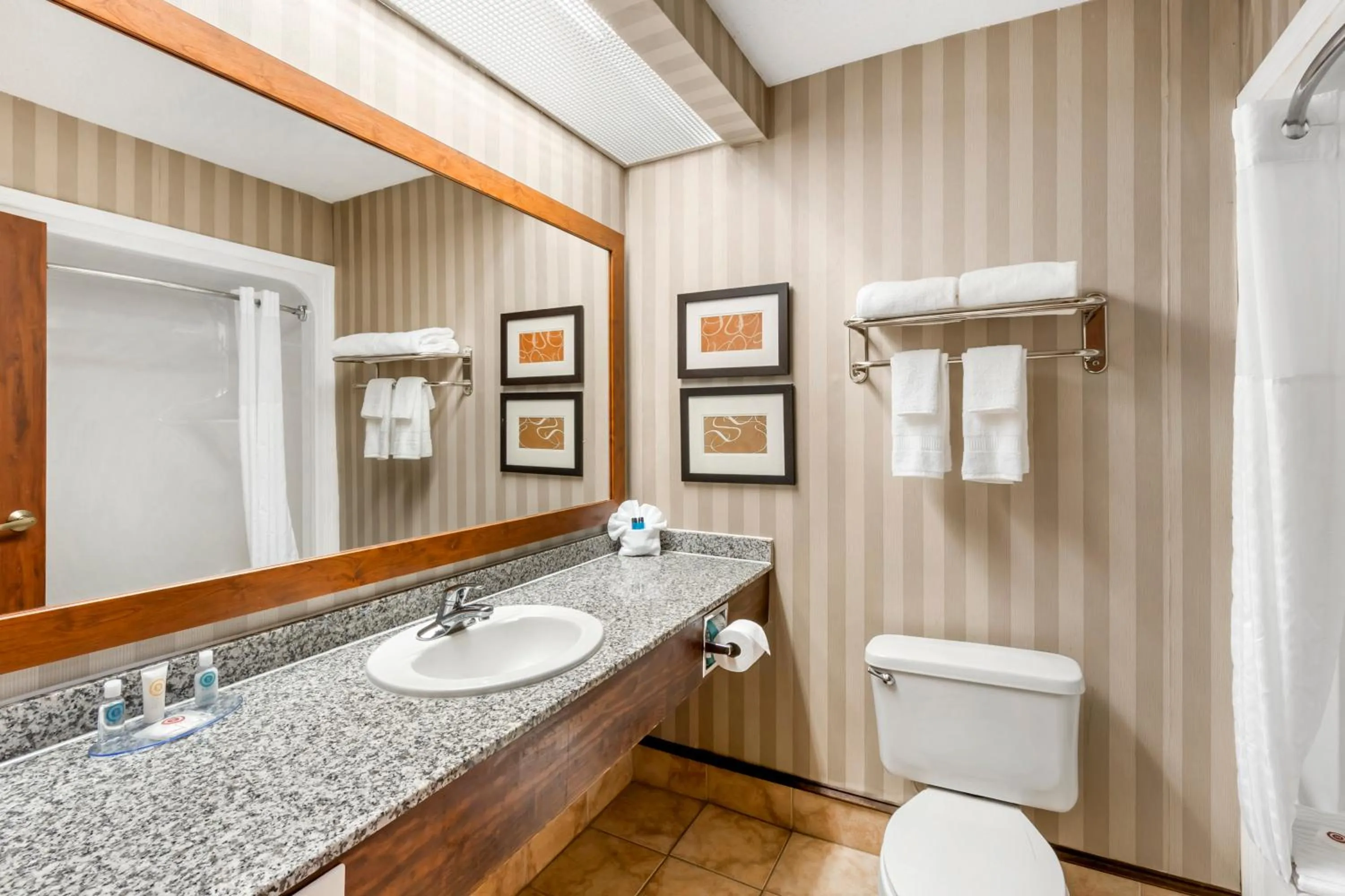 Bathroom in Comfort Inn Summerville - Charleston