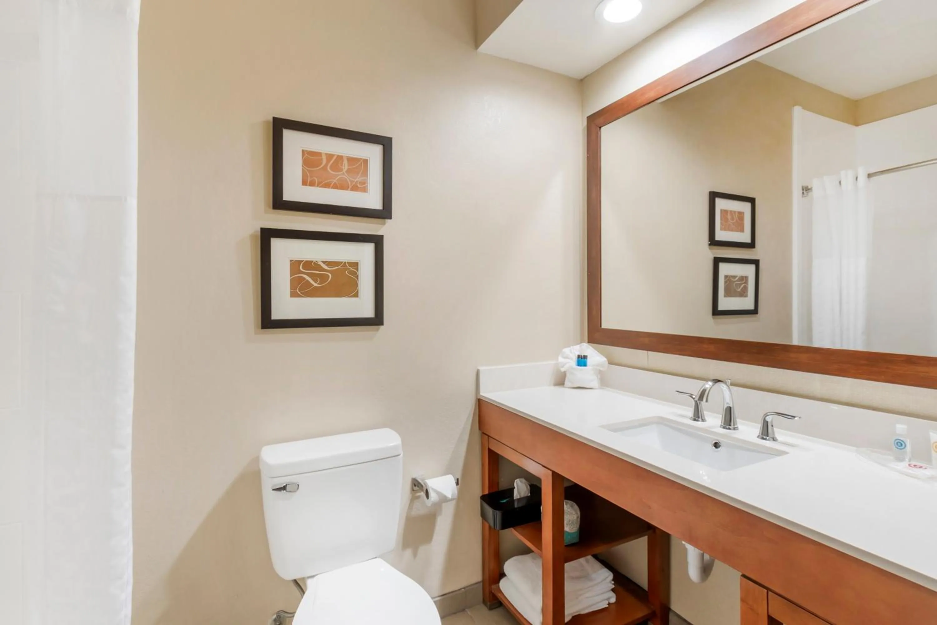 Bathroom in Comfort Inn Summerville - Charleston