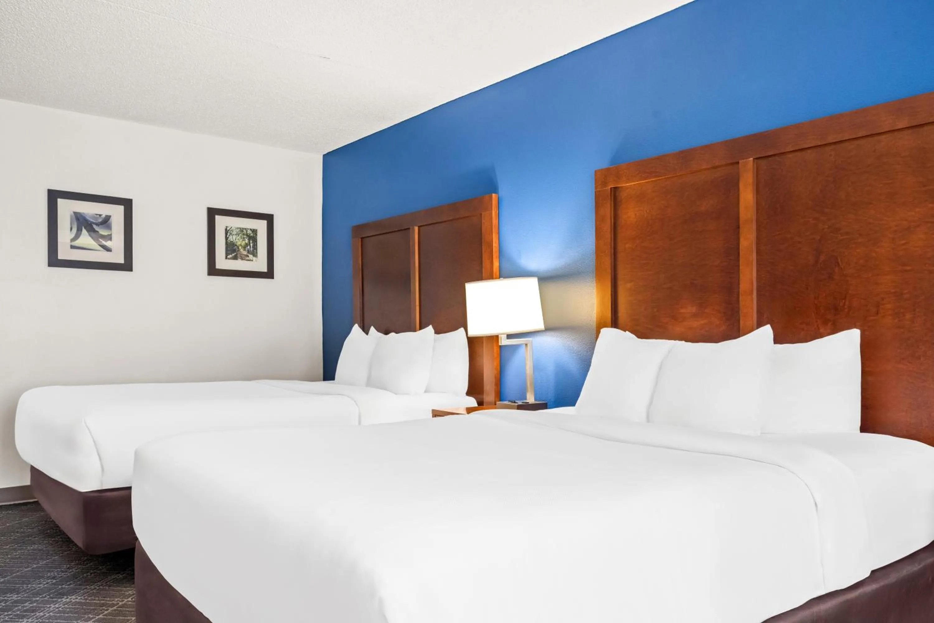 Bed in Comfort Inn & Suites Walterboro I-95
