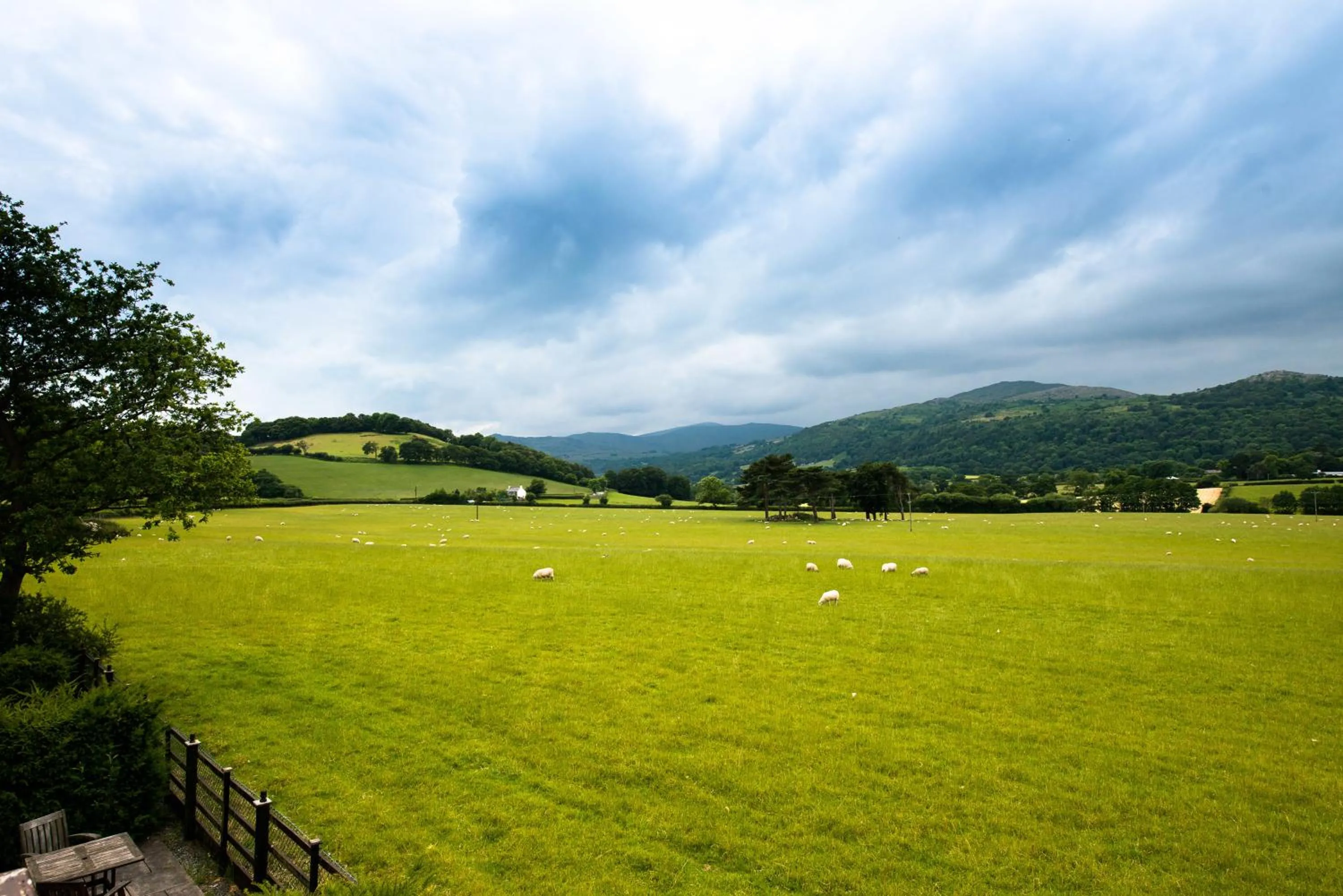 Garden view in The Groes Inn