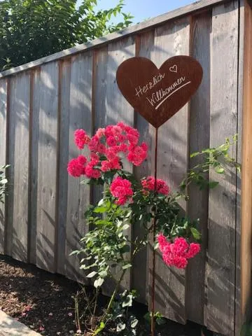 Garden view in Apart Matthias