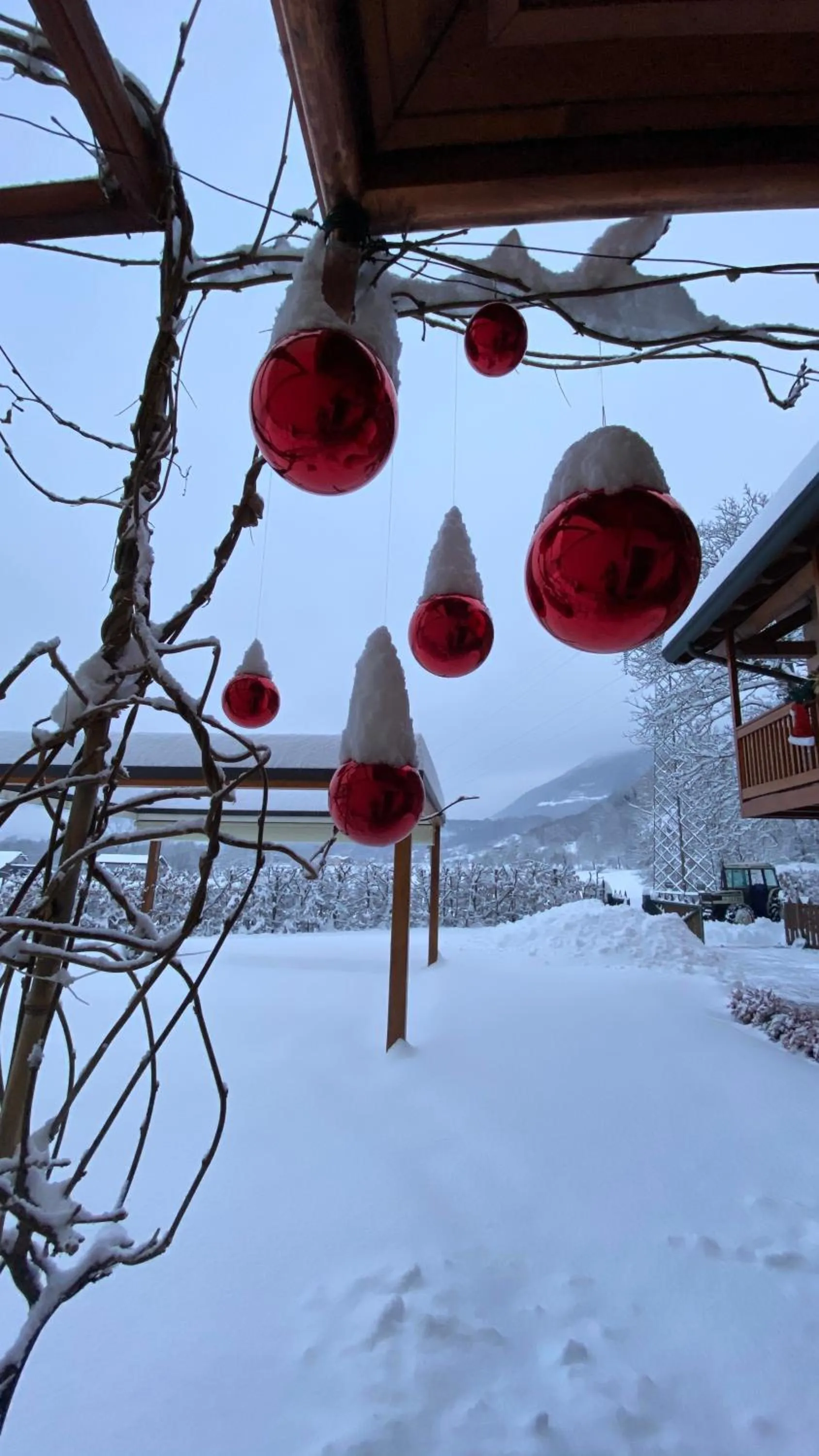 Natural landscape in LA TANA DEL GRILLO