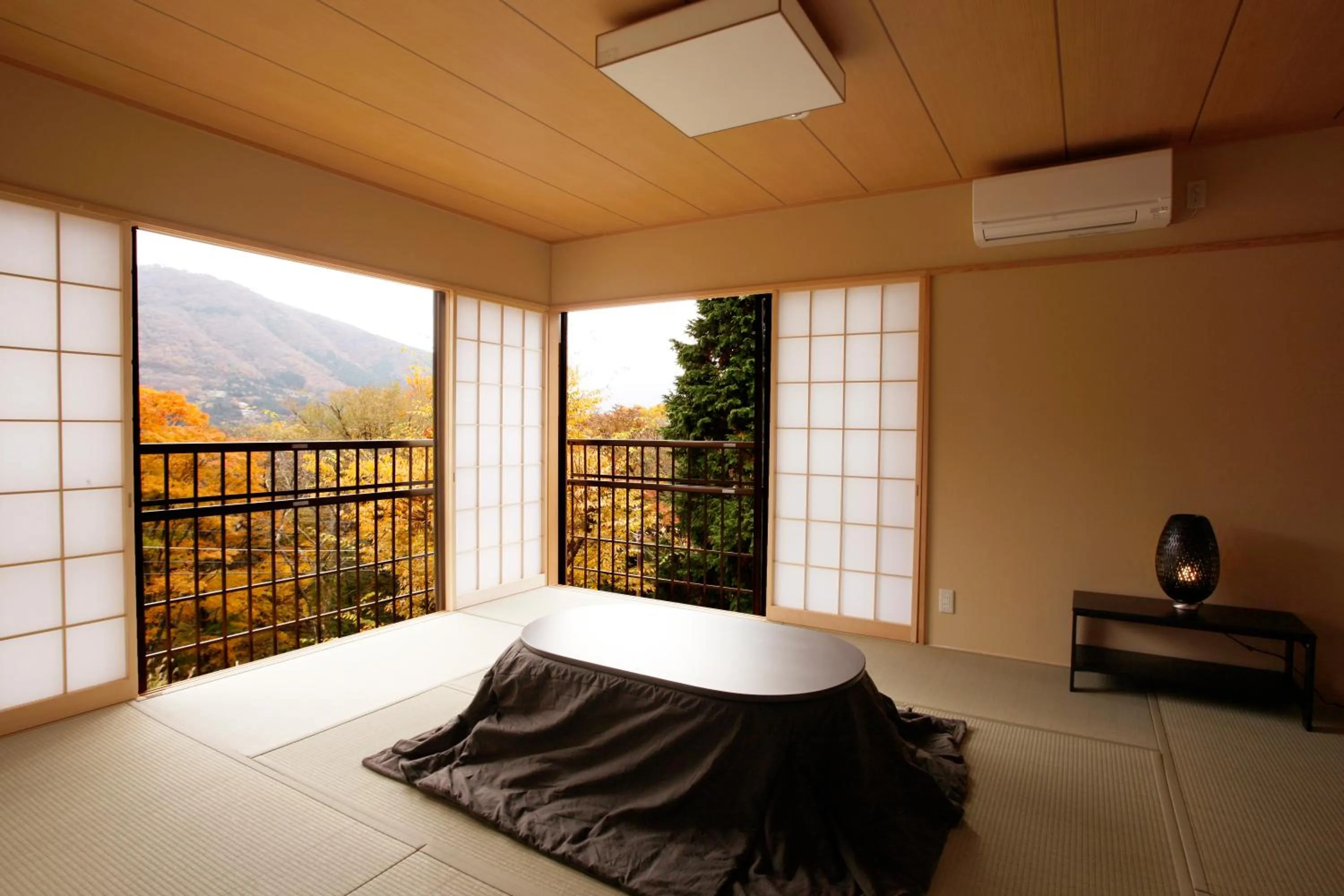 Photo of the whole room in Hakone Fura