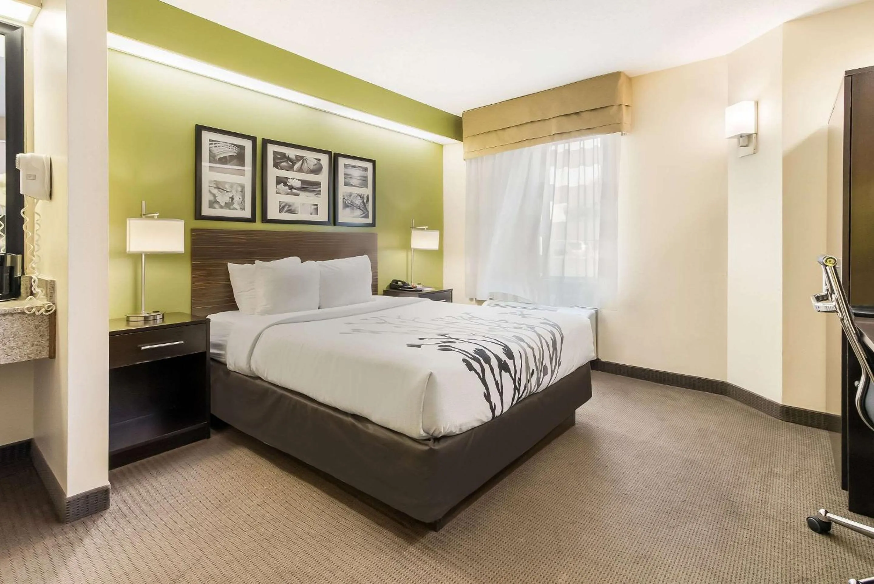 Bedroom, Bed in Sleep Inn Sioux Falls Airport