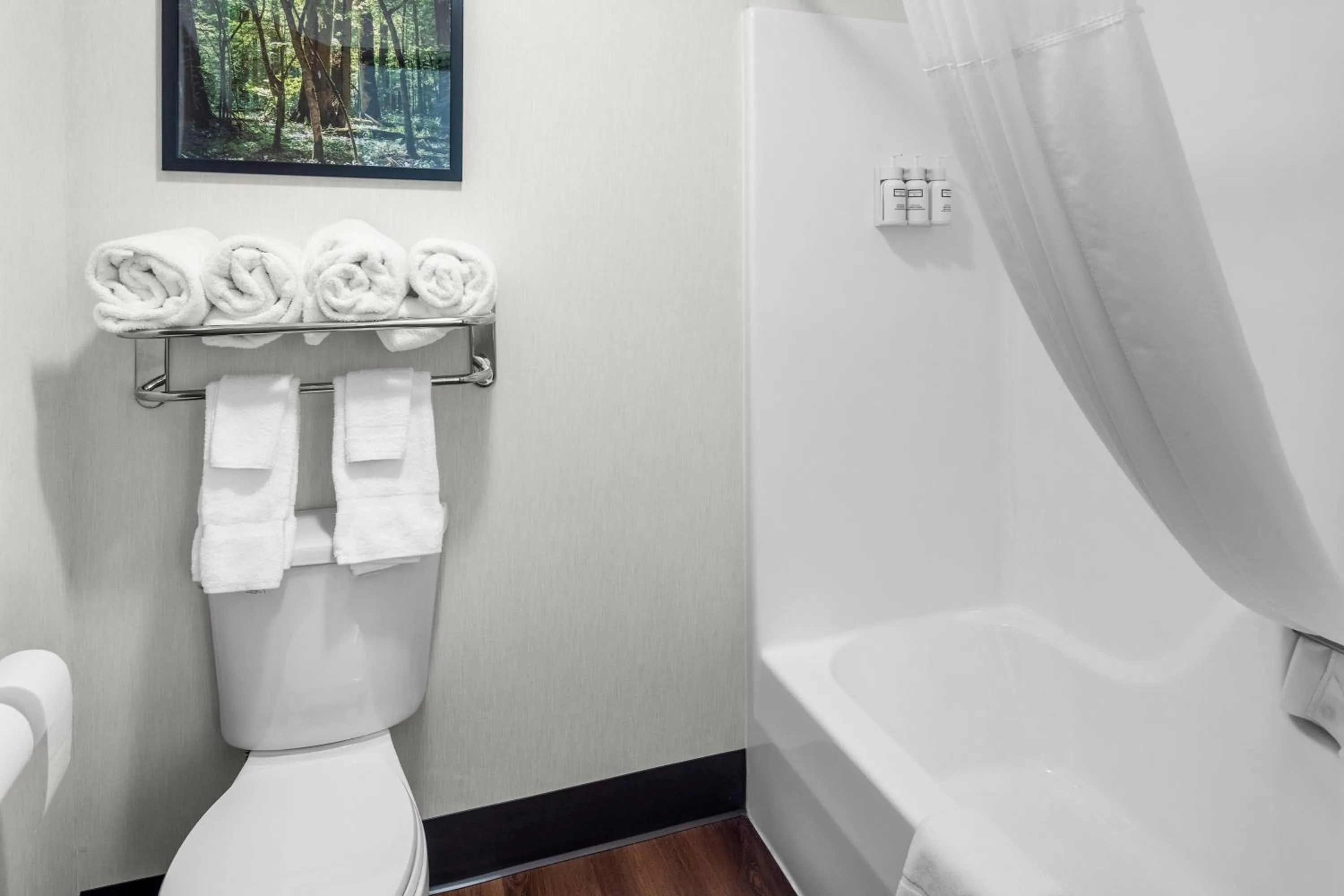 Bathroom in EverSpring Inn & Suites