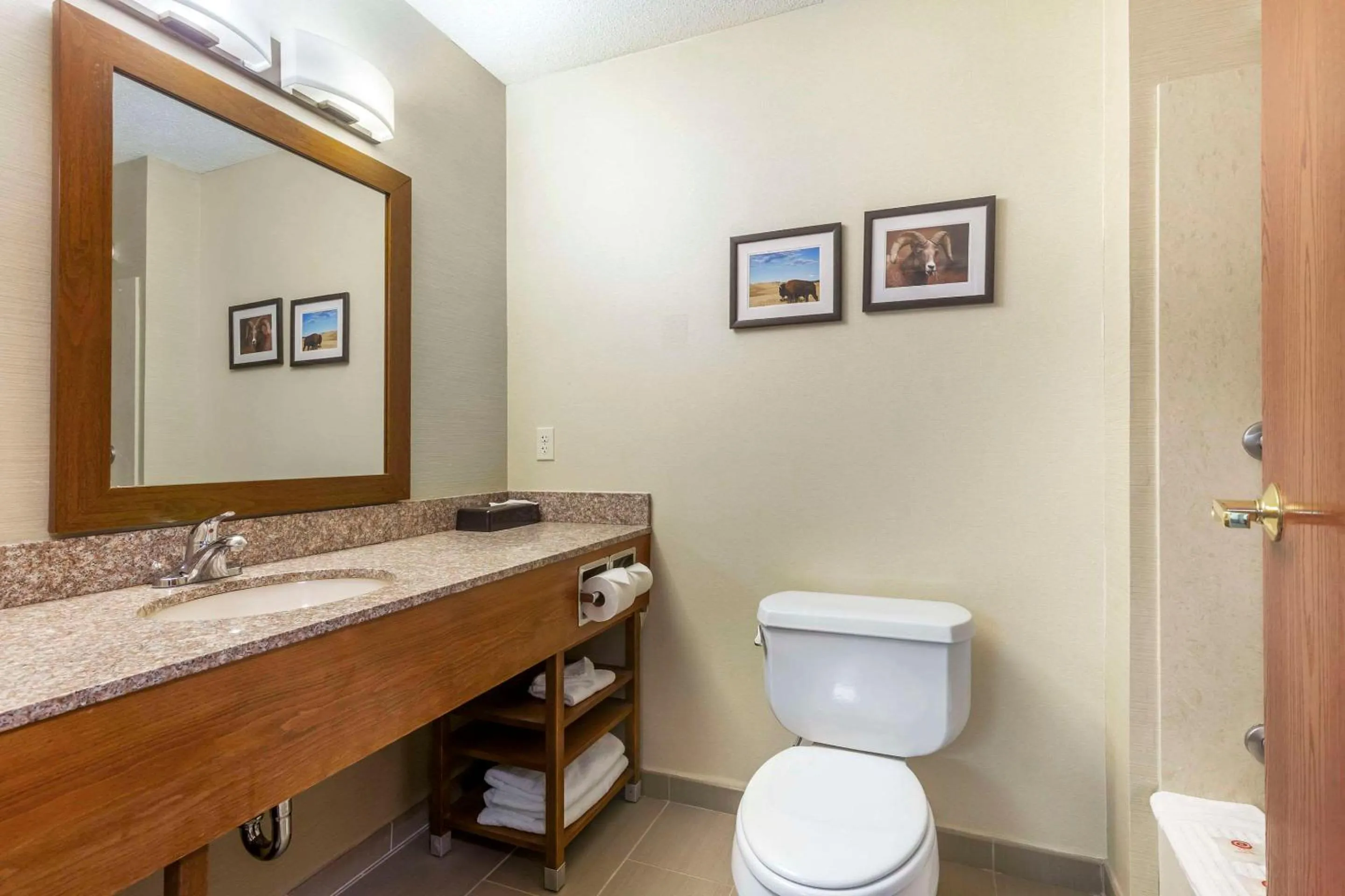 Bedroom in Comfort Inn & Suites Rapid City South - Mt Rushmore Gateway