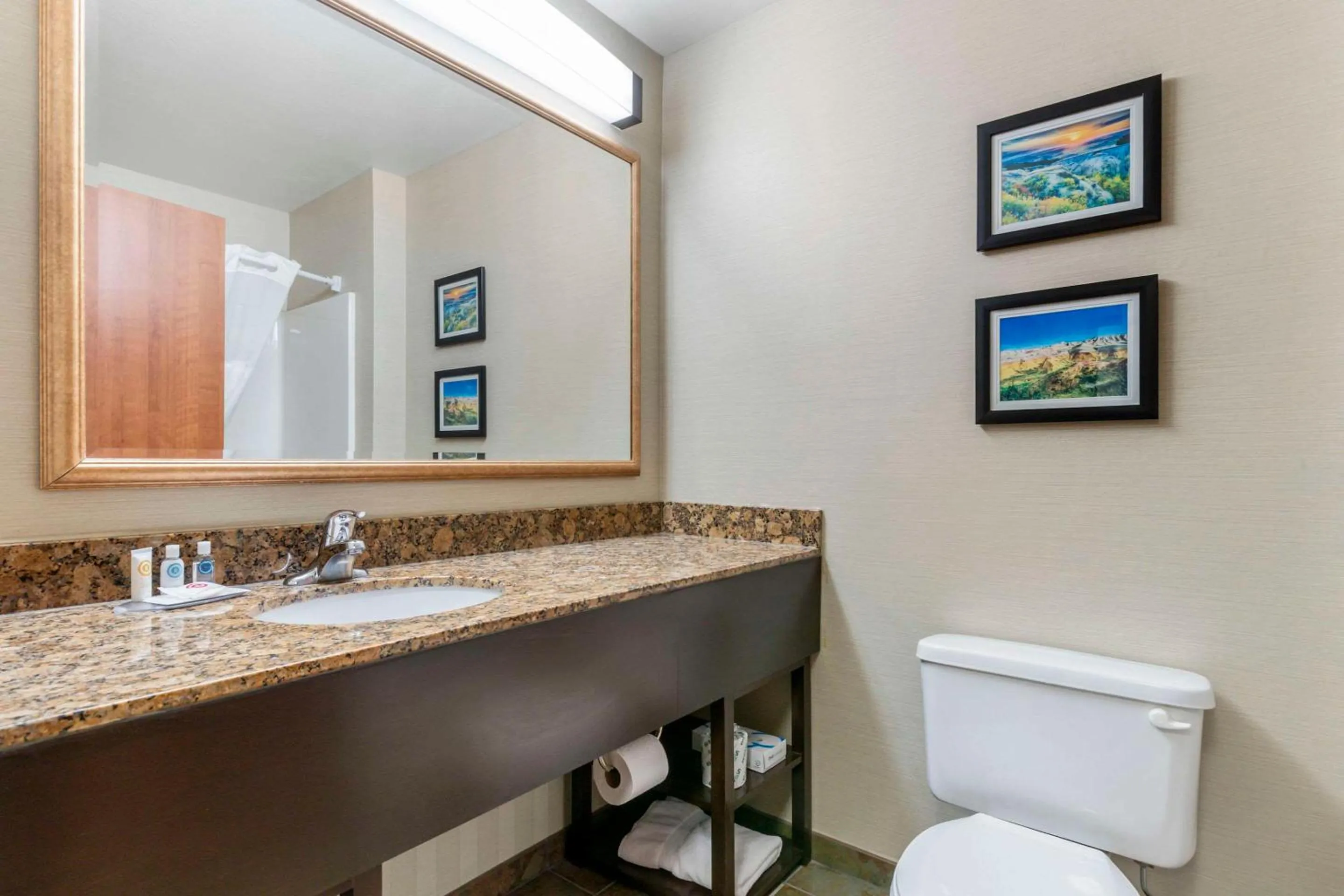 Bathroom in Comfort Inn & Suites Mitchell I-90