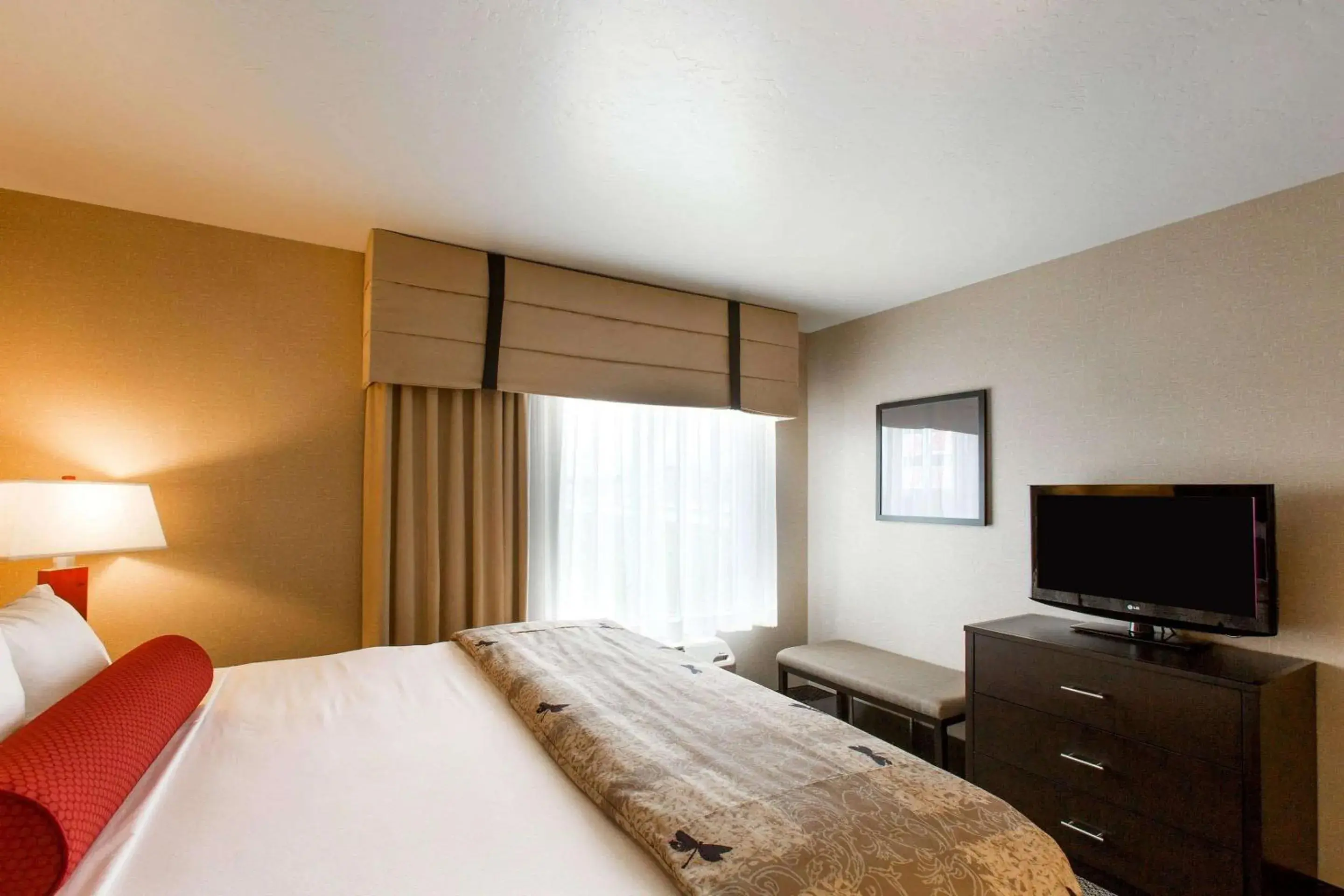 King Suite with Roll-In Shower - Accessible/Non-Smoking in Cambria Hotel Rapid City near Mount Rushmore King Suite with Roll-In Shower - Accessible/Non-Smoking in Cambria Hotel Rapid City near Mount Rushmore