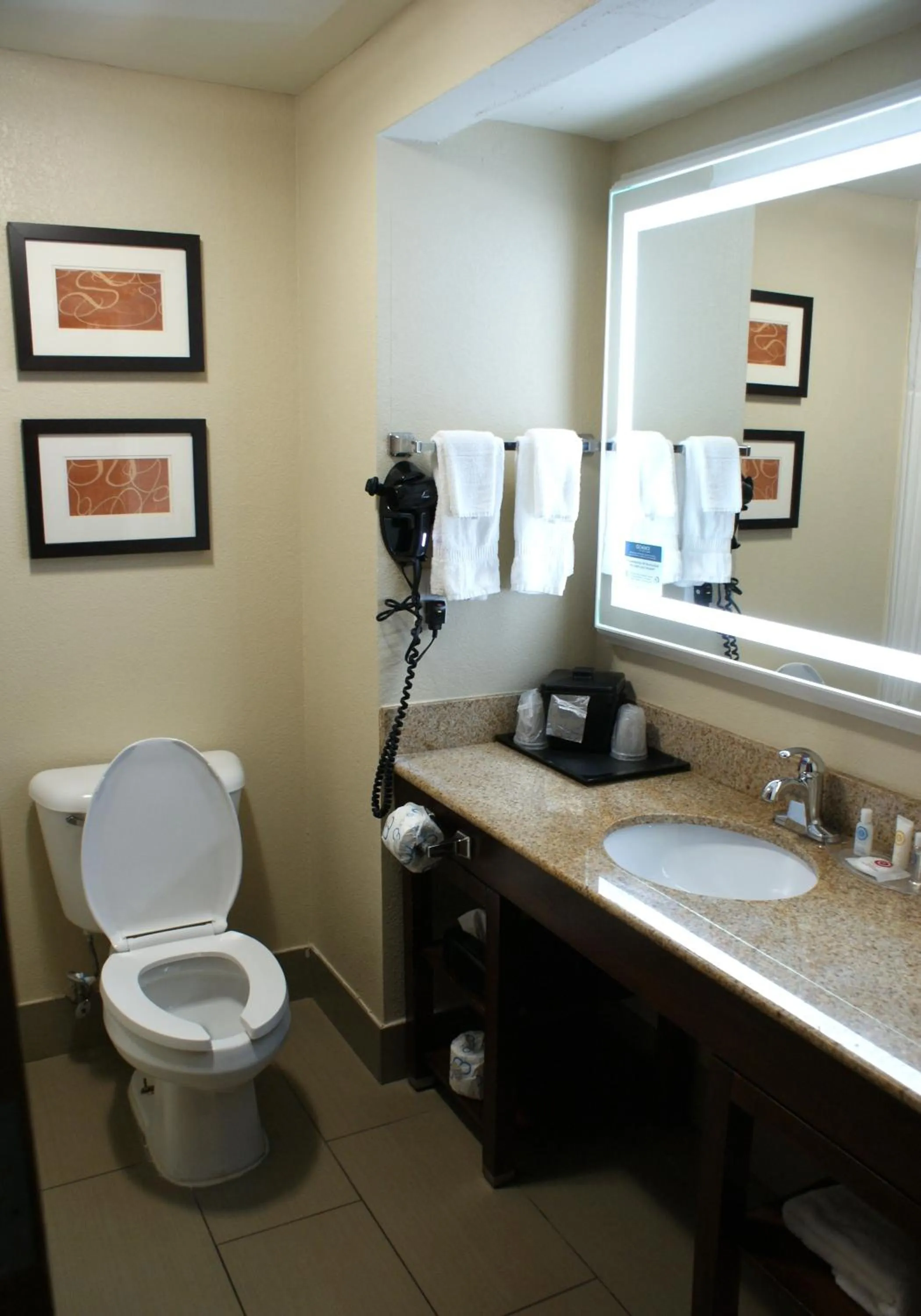 Bathroom in Comfort Suites Cookeville
