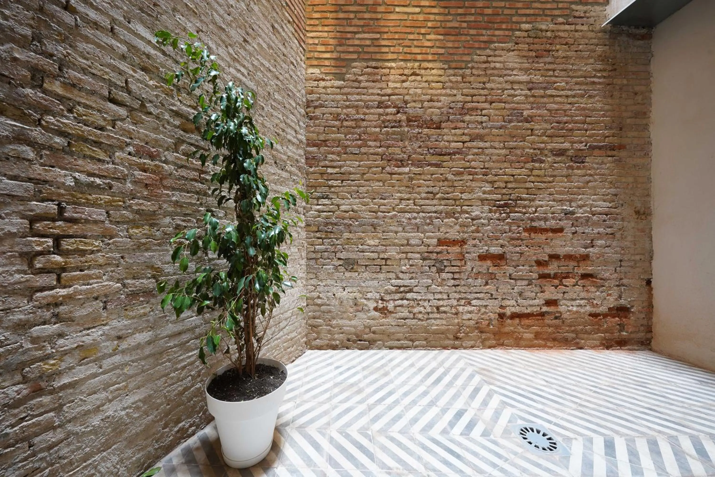 Patio in Numa Granada Vega