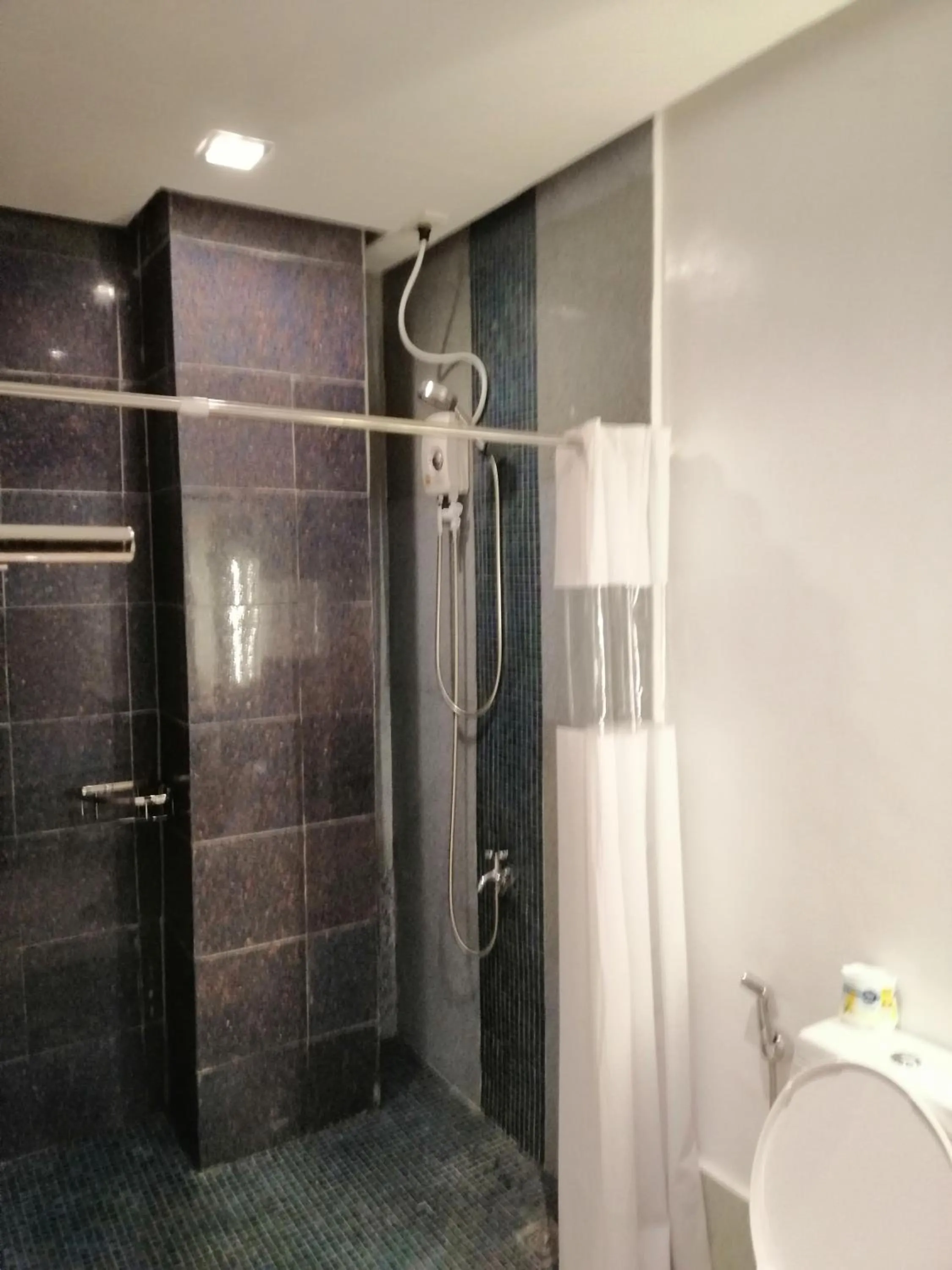 Shower in Hotel Rupert A Baler