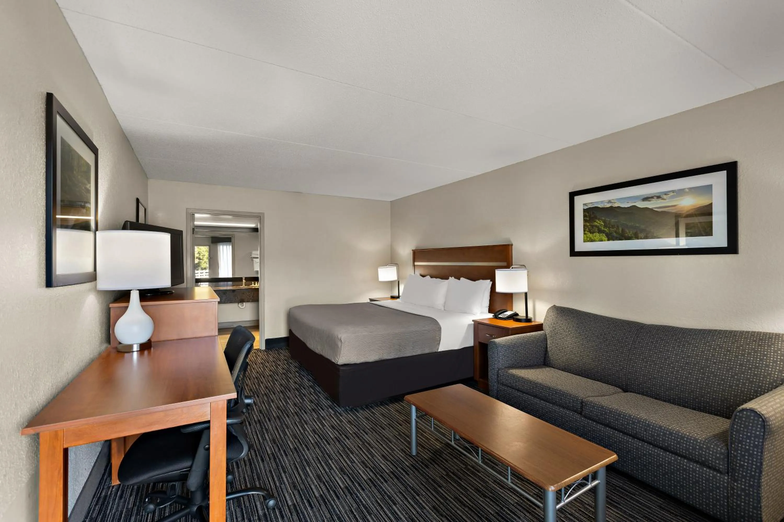 View (from property/room) in Quality Inn Dandridge