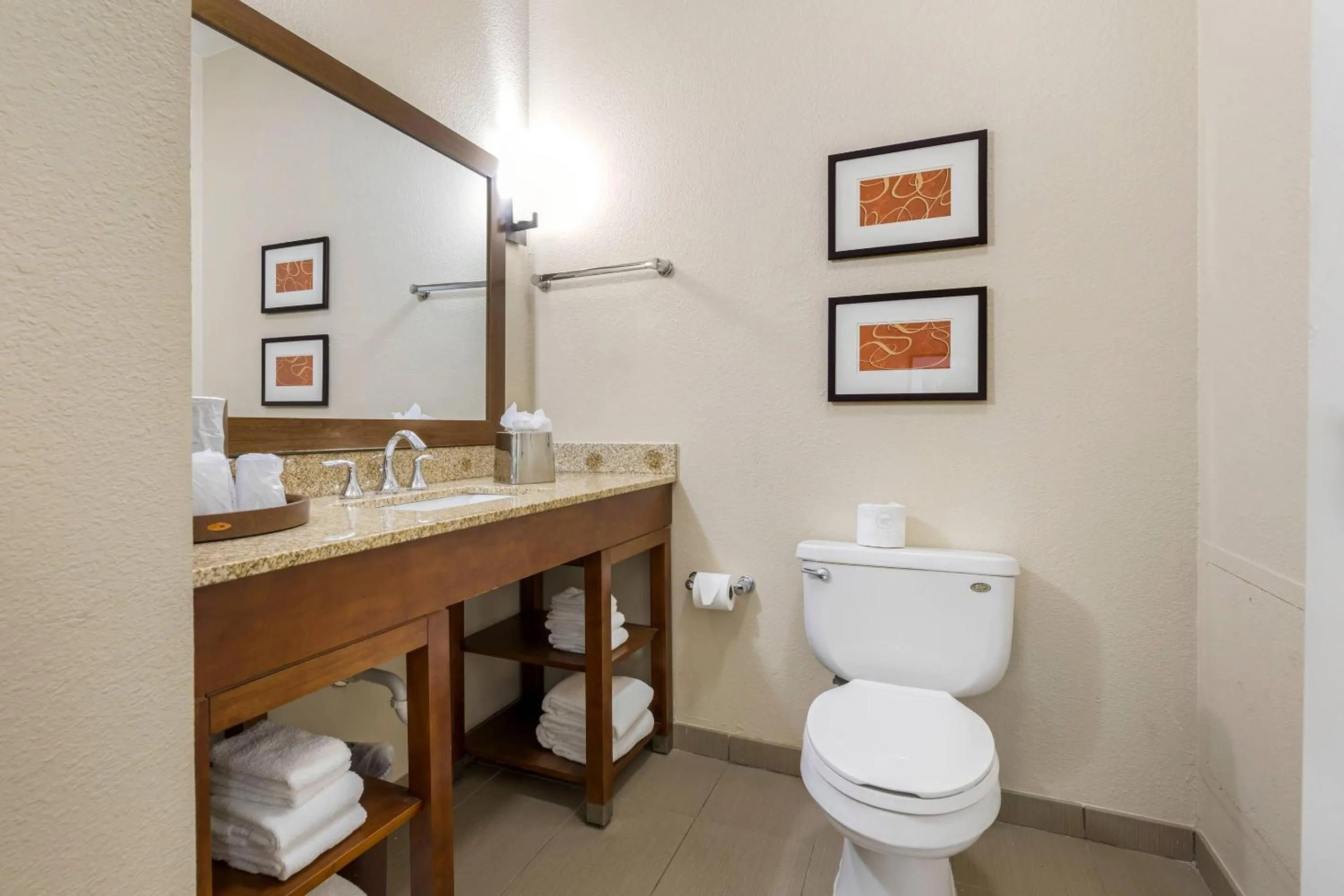 Bedroom in Comfort Inn Memphis Downtown