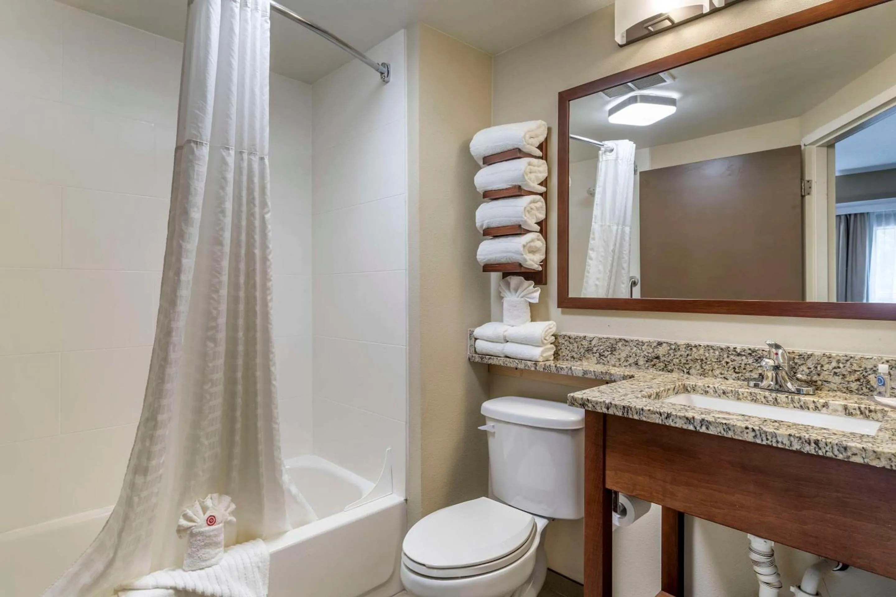 Bathroom in Comfort Inn Kingsport Southeast
