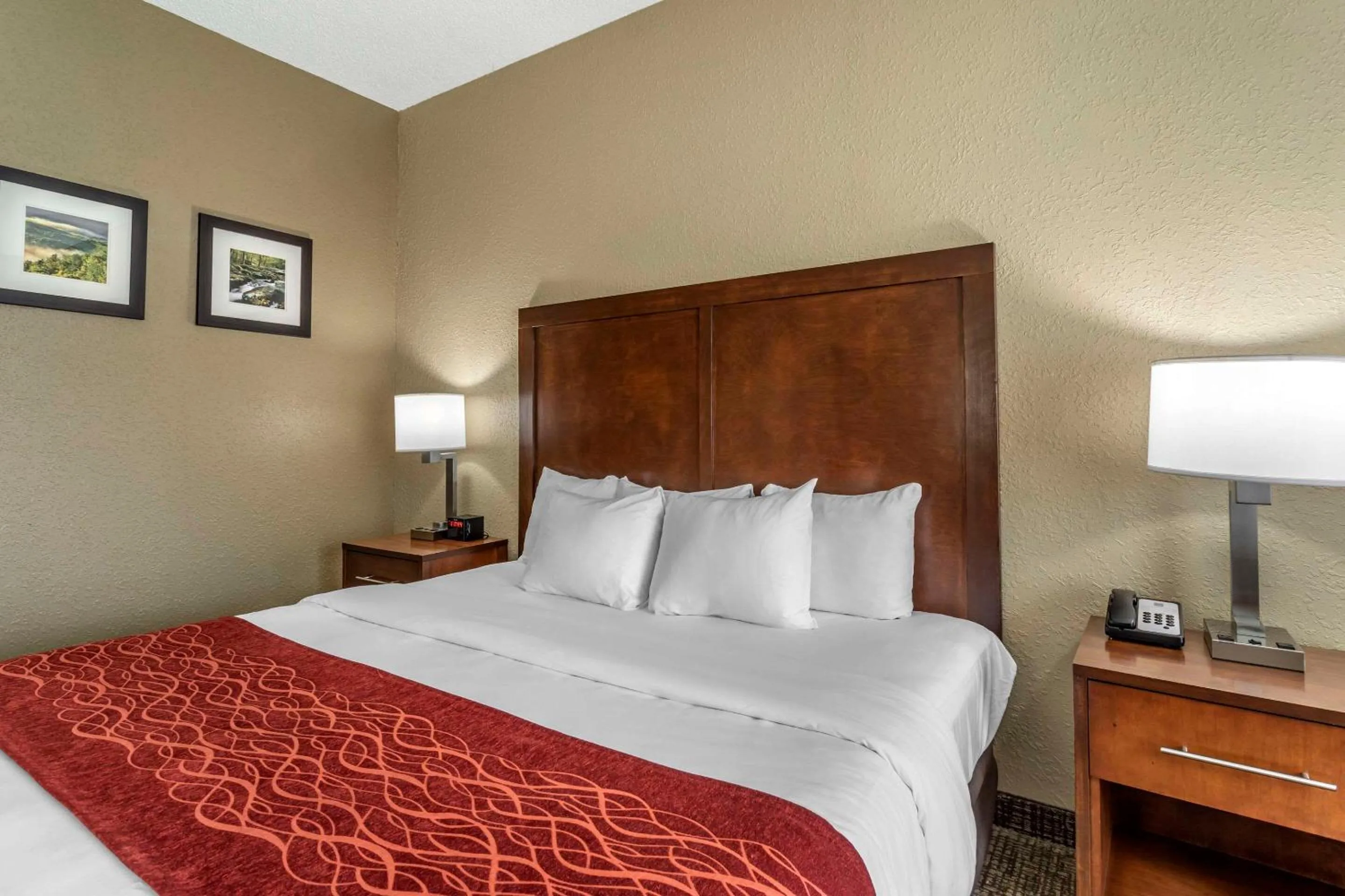 Bedroom, Bed in Comfort Inn Kingsport Southeast