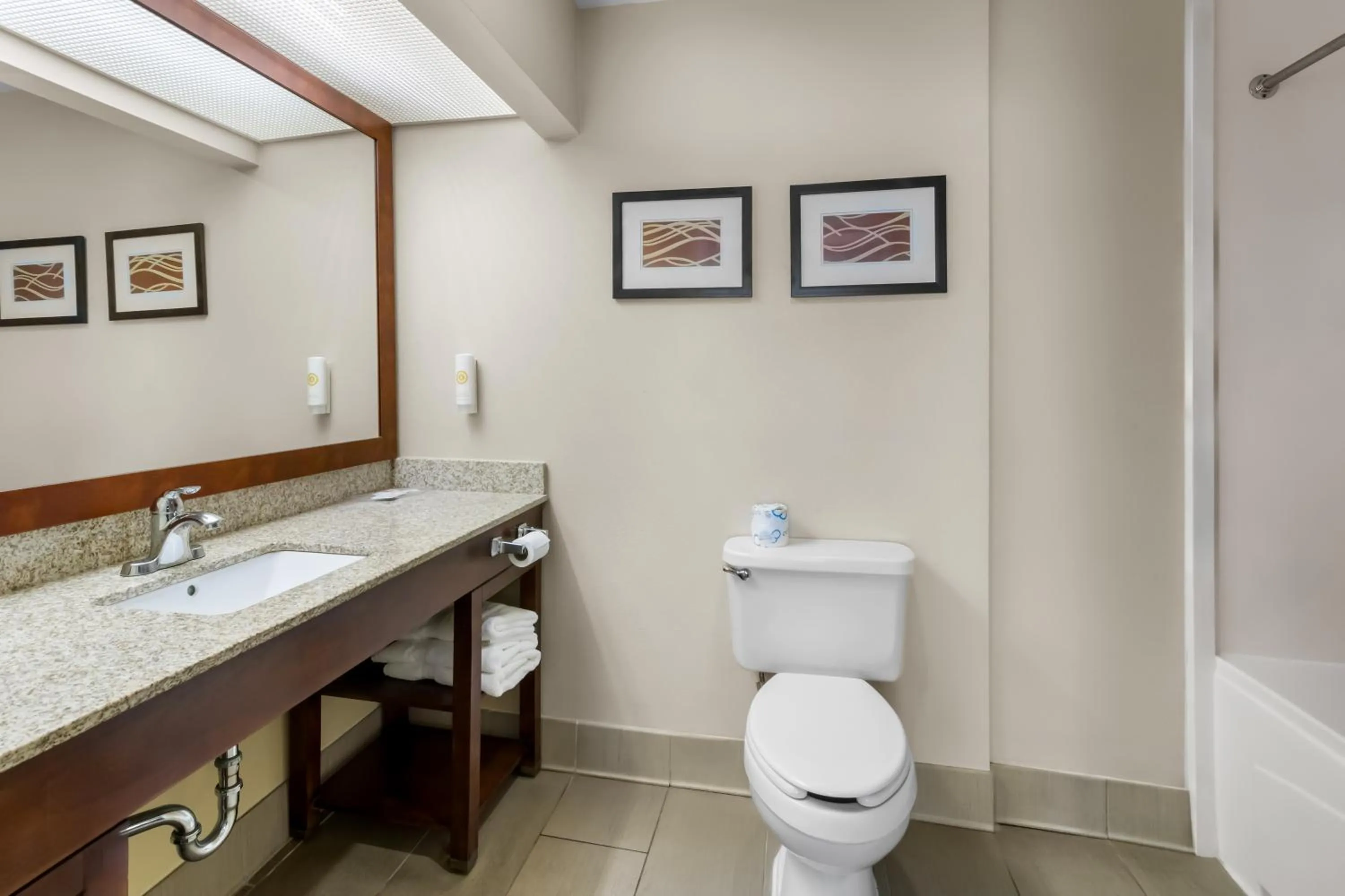 Bathroom in Comfort Suites Goodlettsville Rivergate
