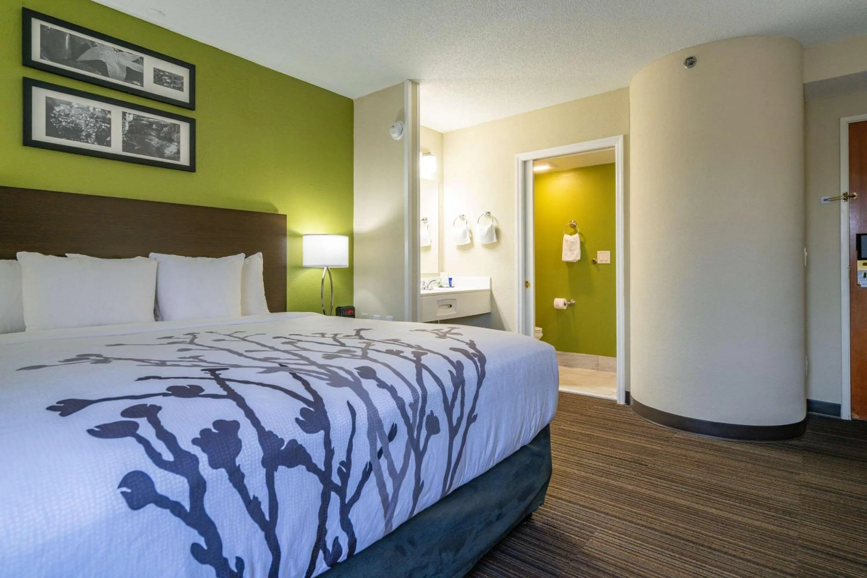 Bedroom, Bed in Sleep Inn Murfreesboro Shopping District