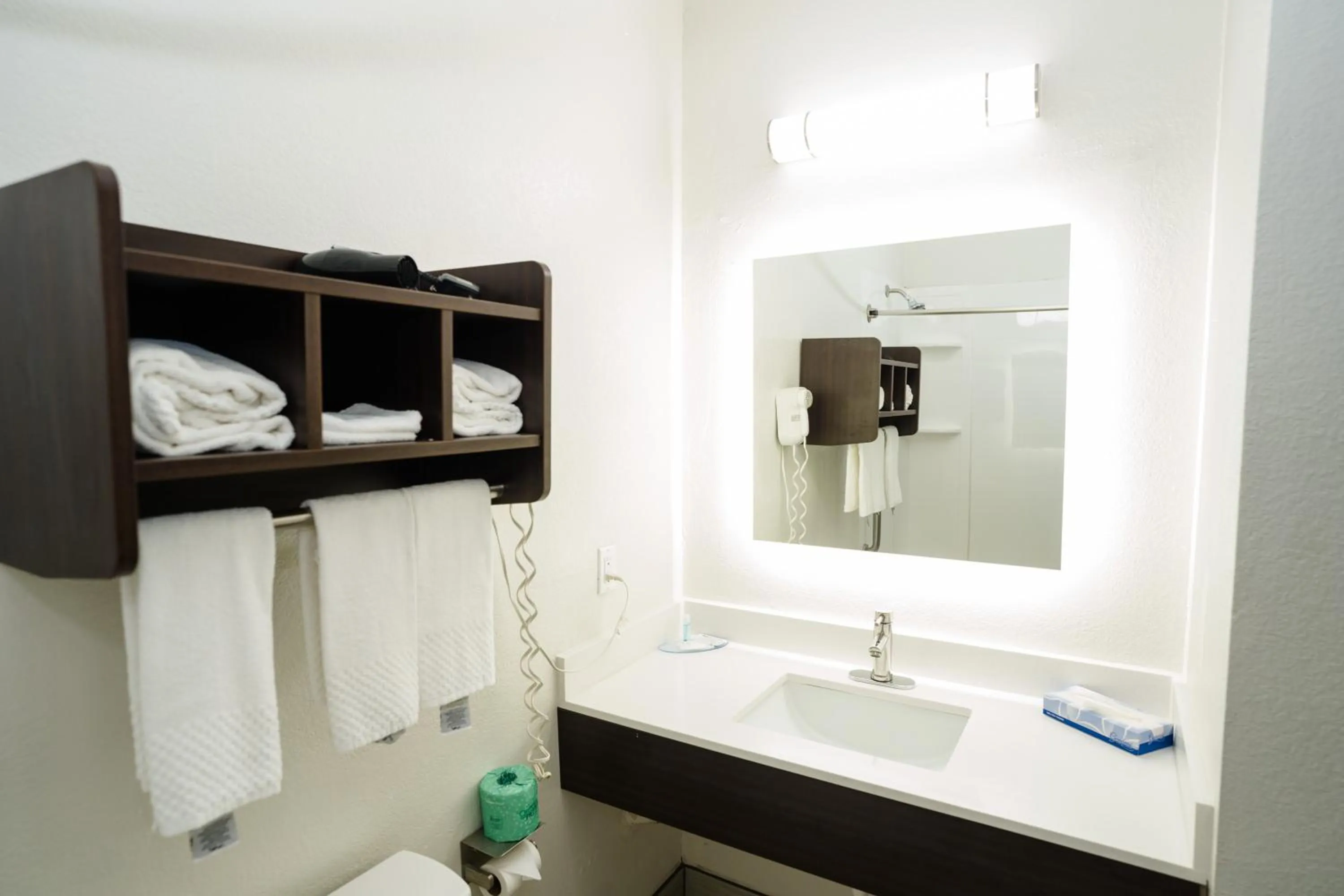 Bathroom in MainStay Suites Knoxville Airport