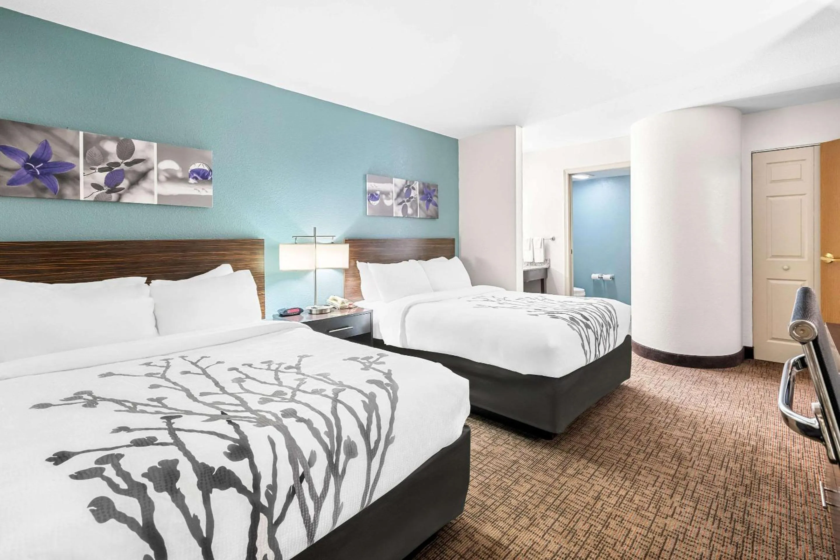 Bedroom, Bed in Sleep Inn & Suites Kingsport TriCities Airport