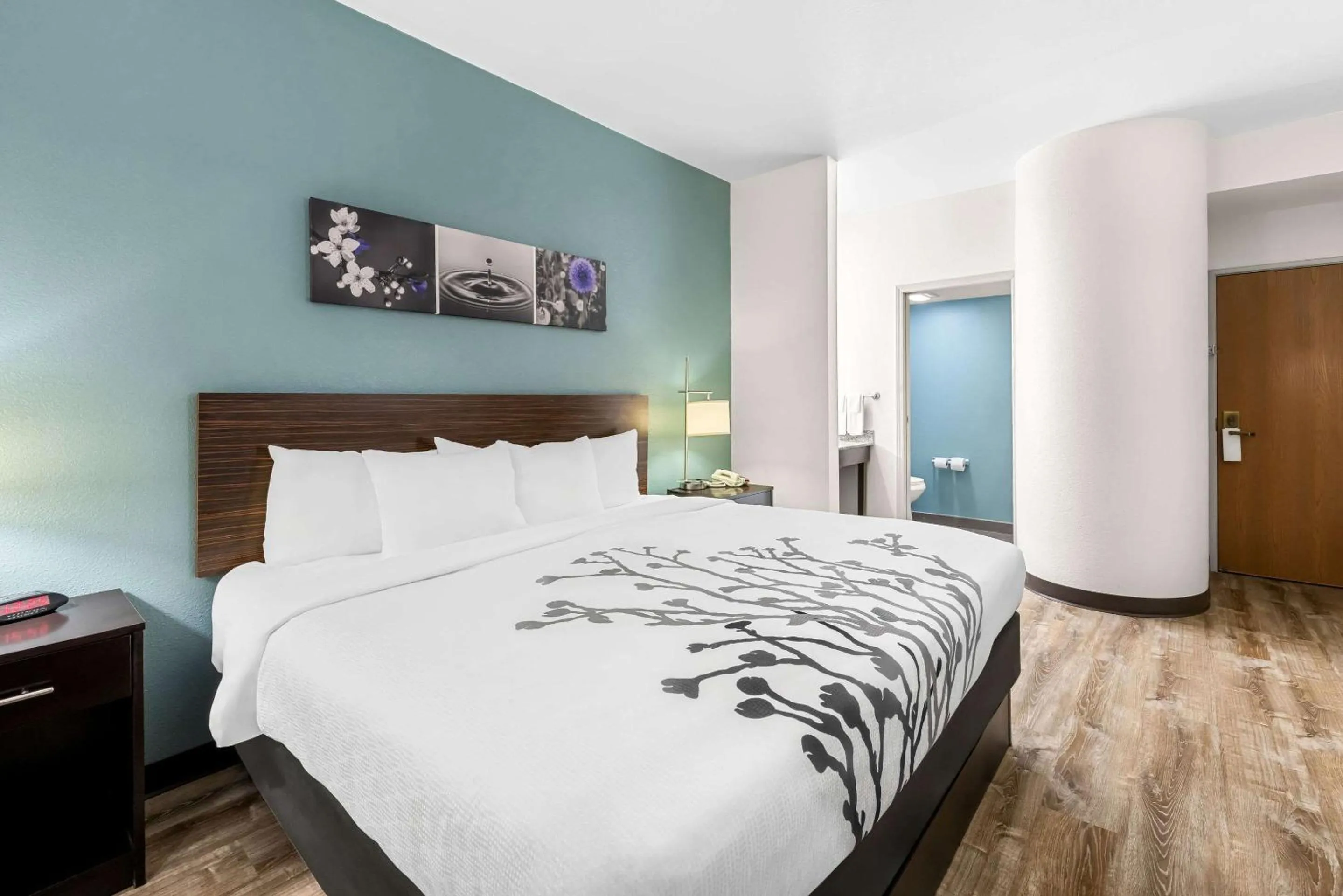 Bedroom, Bed in Sleep Inn & Suites Kingsport TriCities Airport