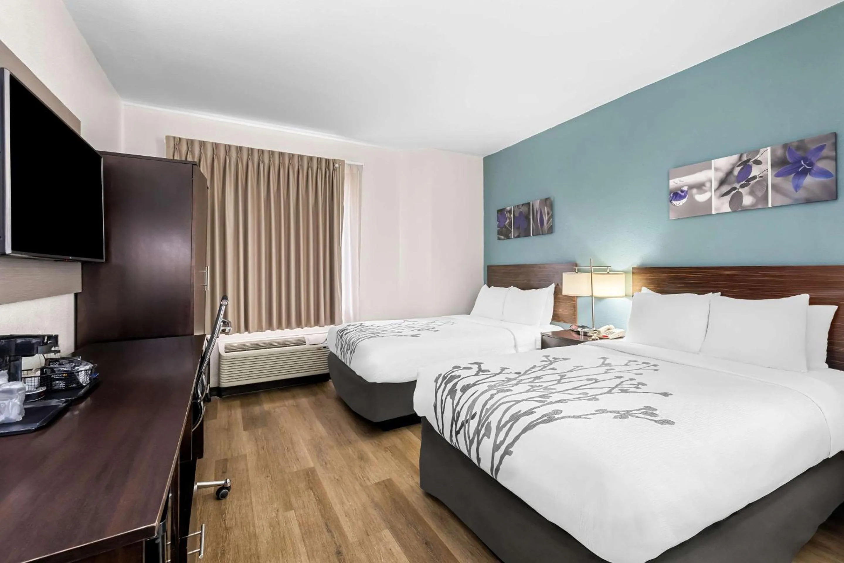 Bedroom, Bed in Sleep Inn & Suites Kingsport TriCities Airport