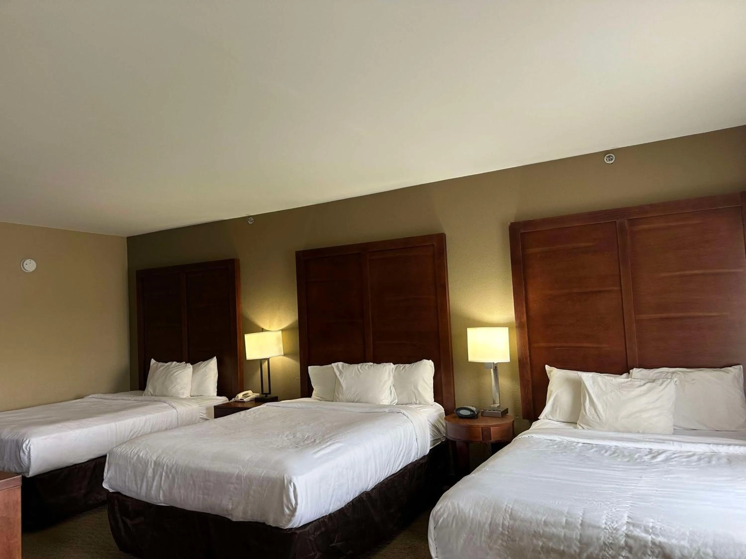 Bedroom, Bed in Vista Suites Near Island and Leconte Convention Center